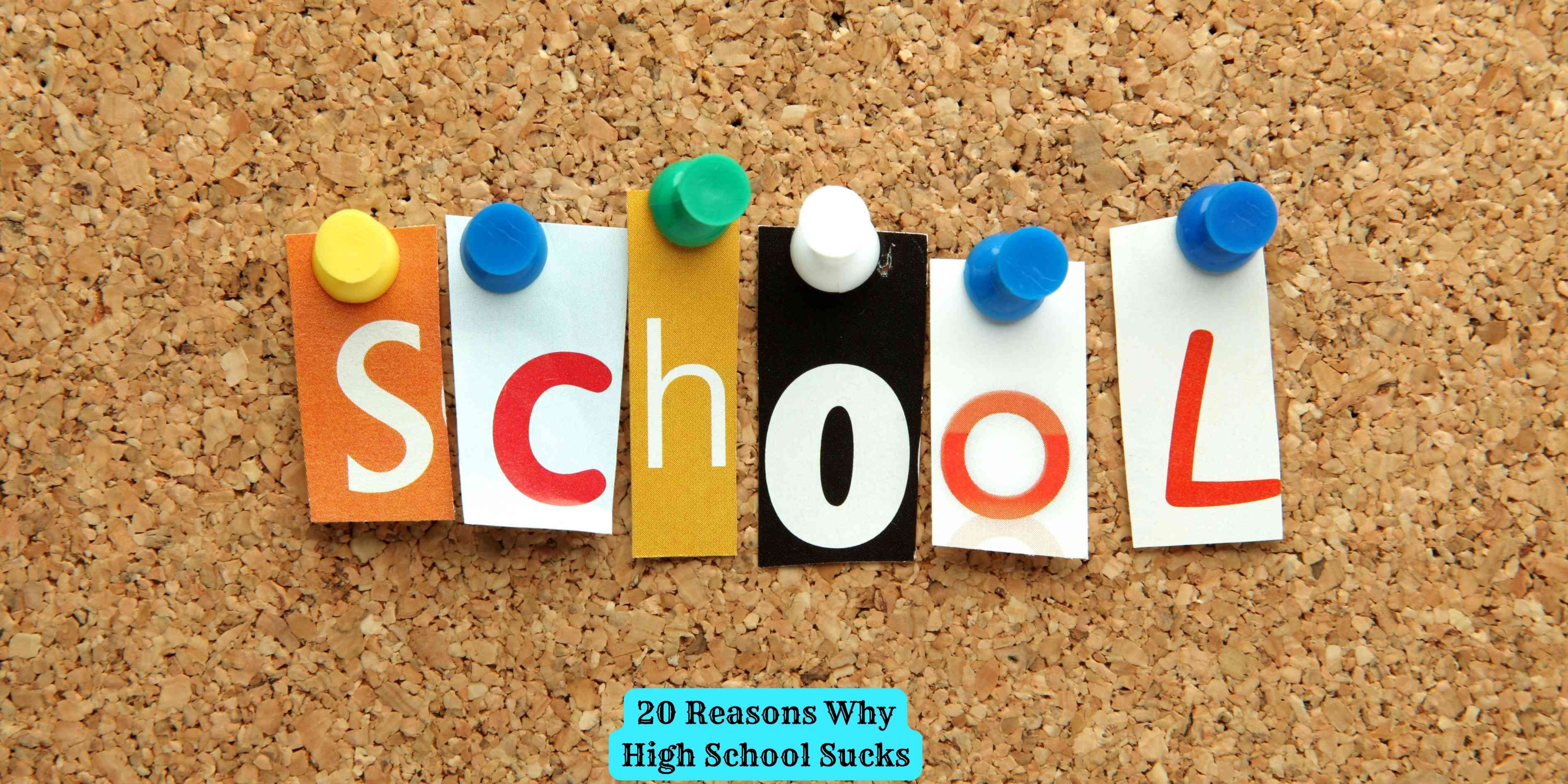 20 Reasons Why High School Sucks