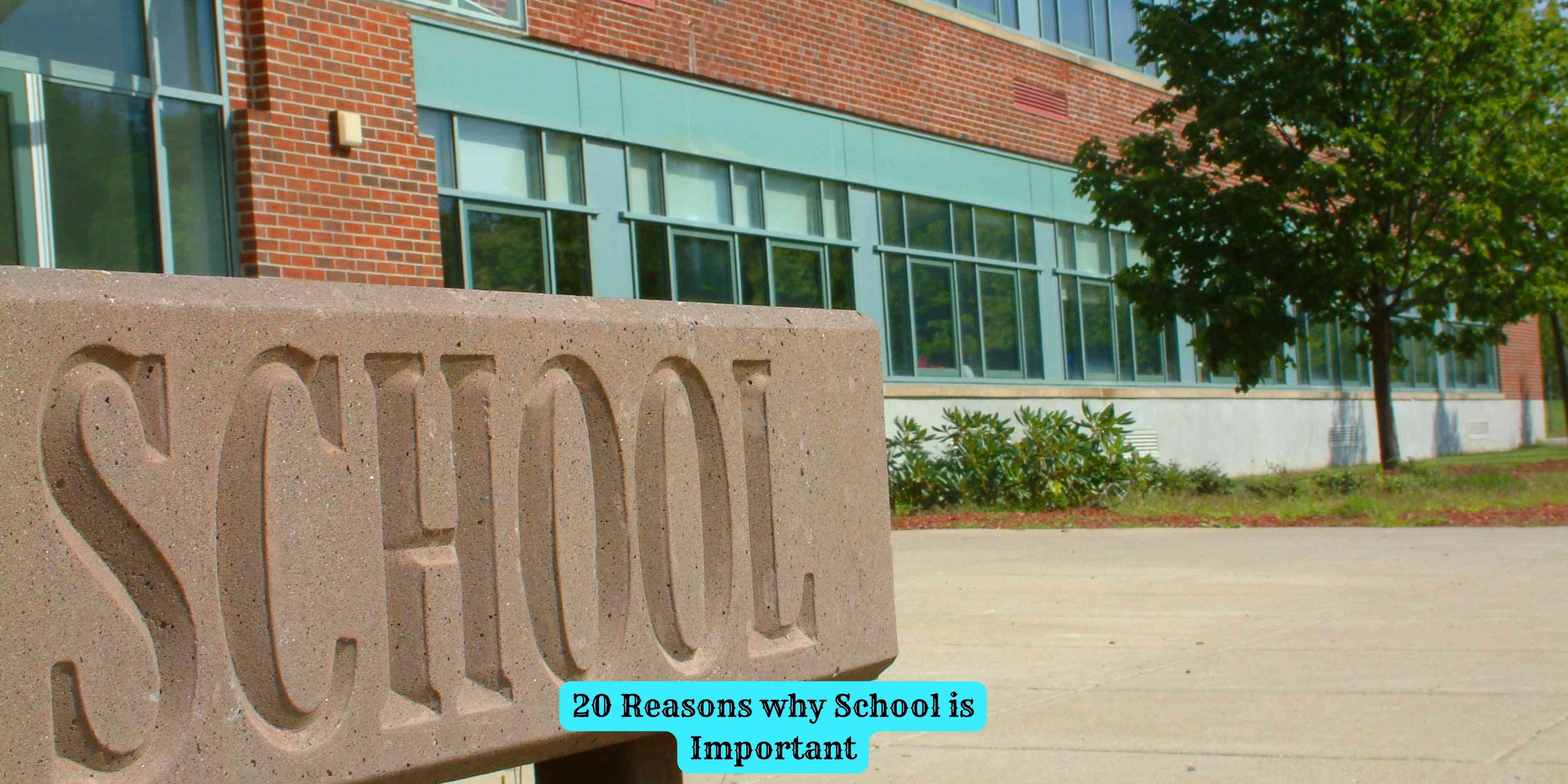 20 Reasons why School is Important