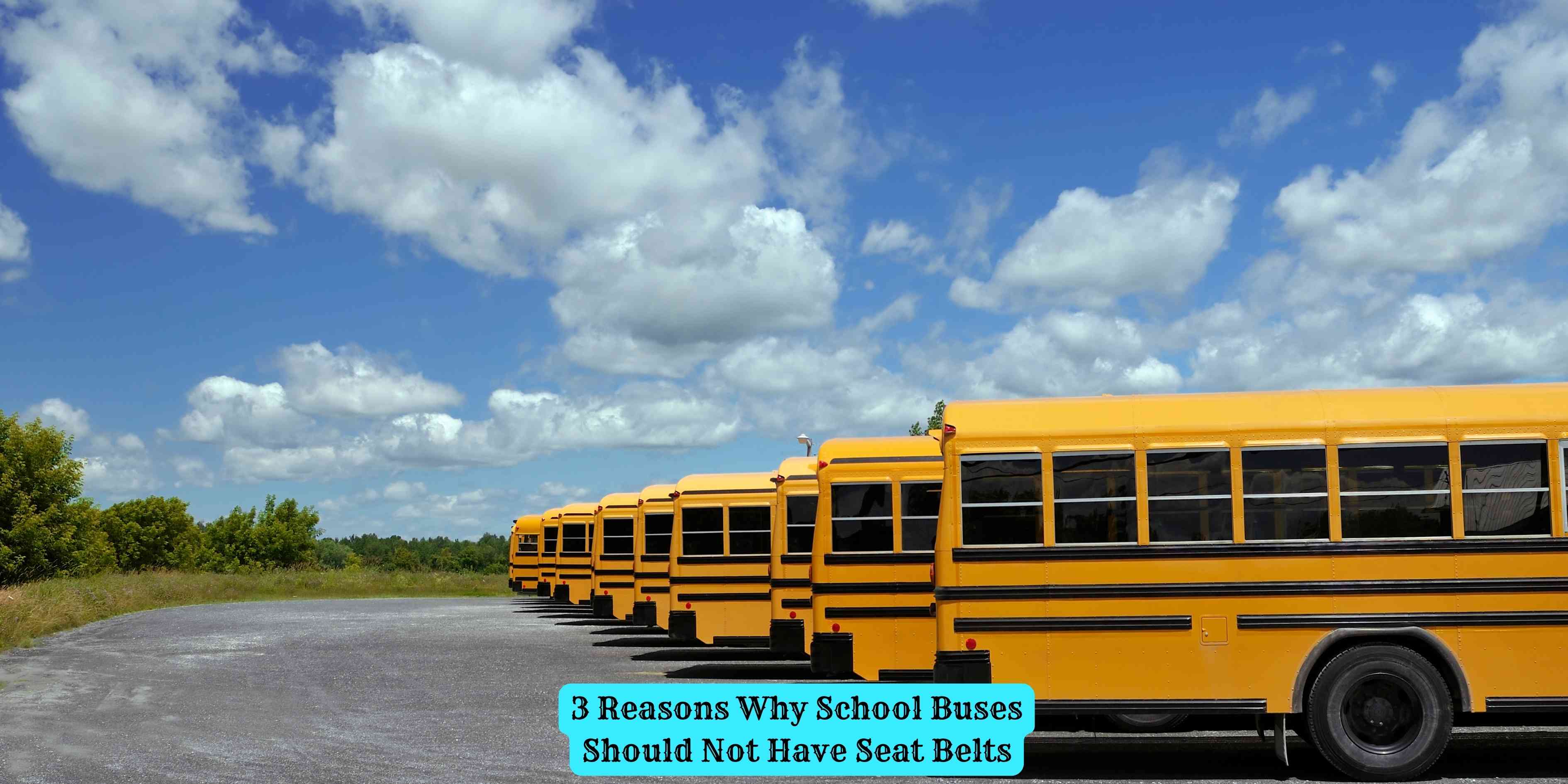 3 Reasons Why School Buses Should Not Have Seat Belts