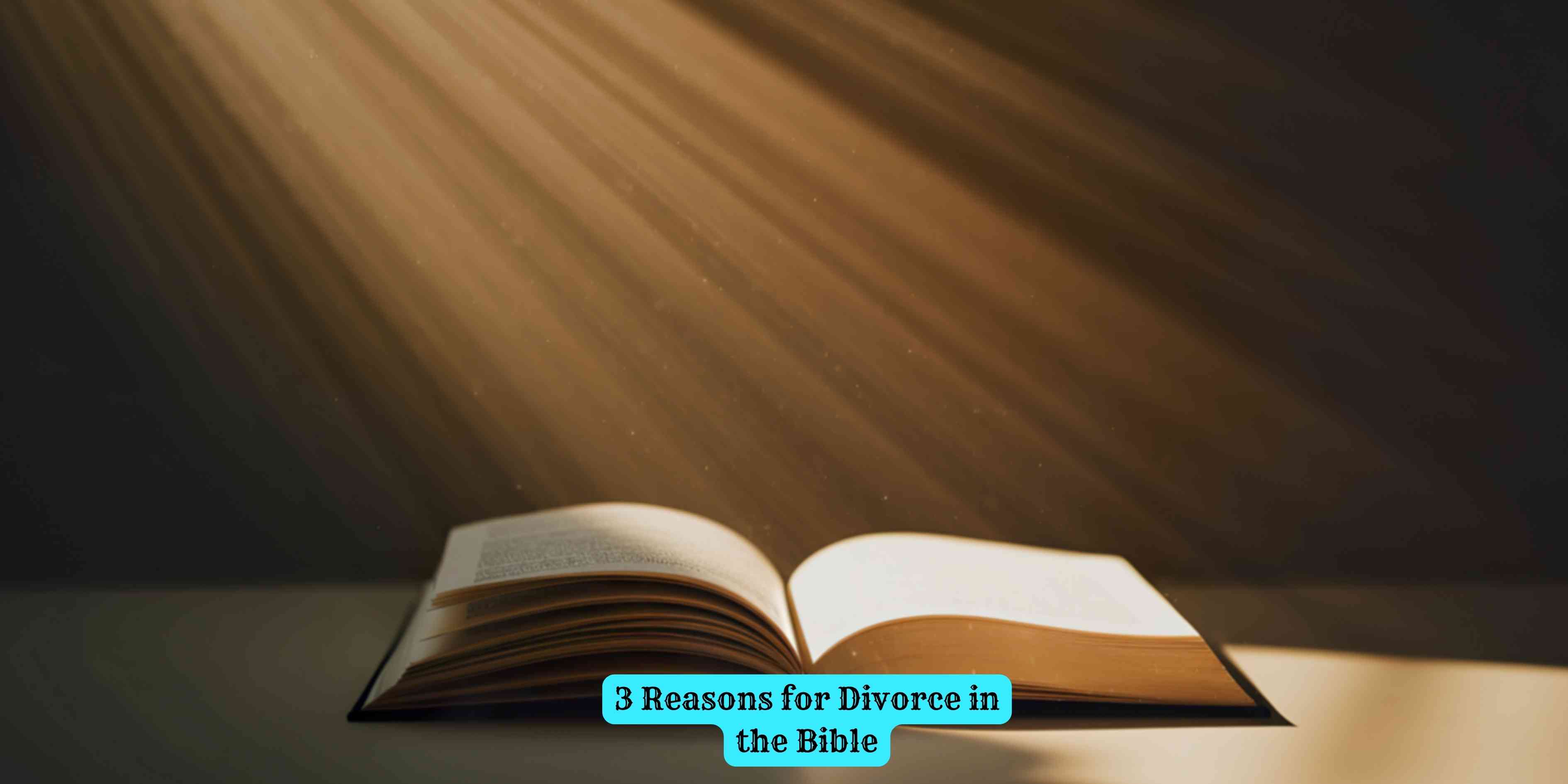 3 Reasons for Divorce in the Bible