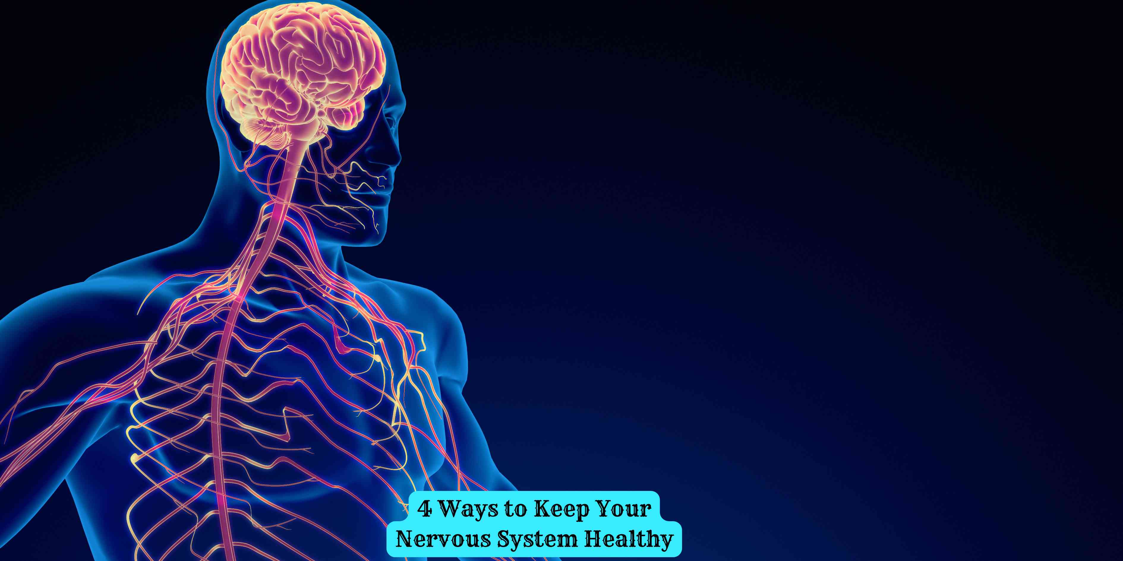 4 Ways to Keep Your Nervous System Healthy
