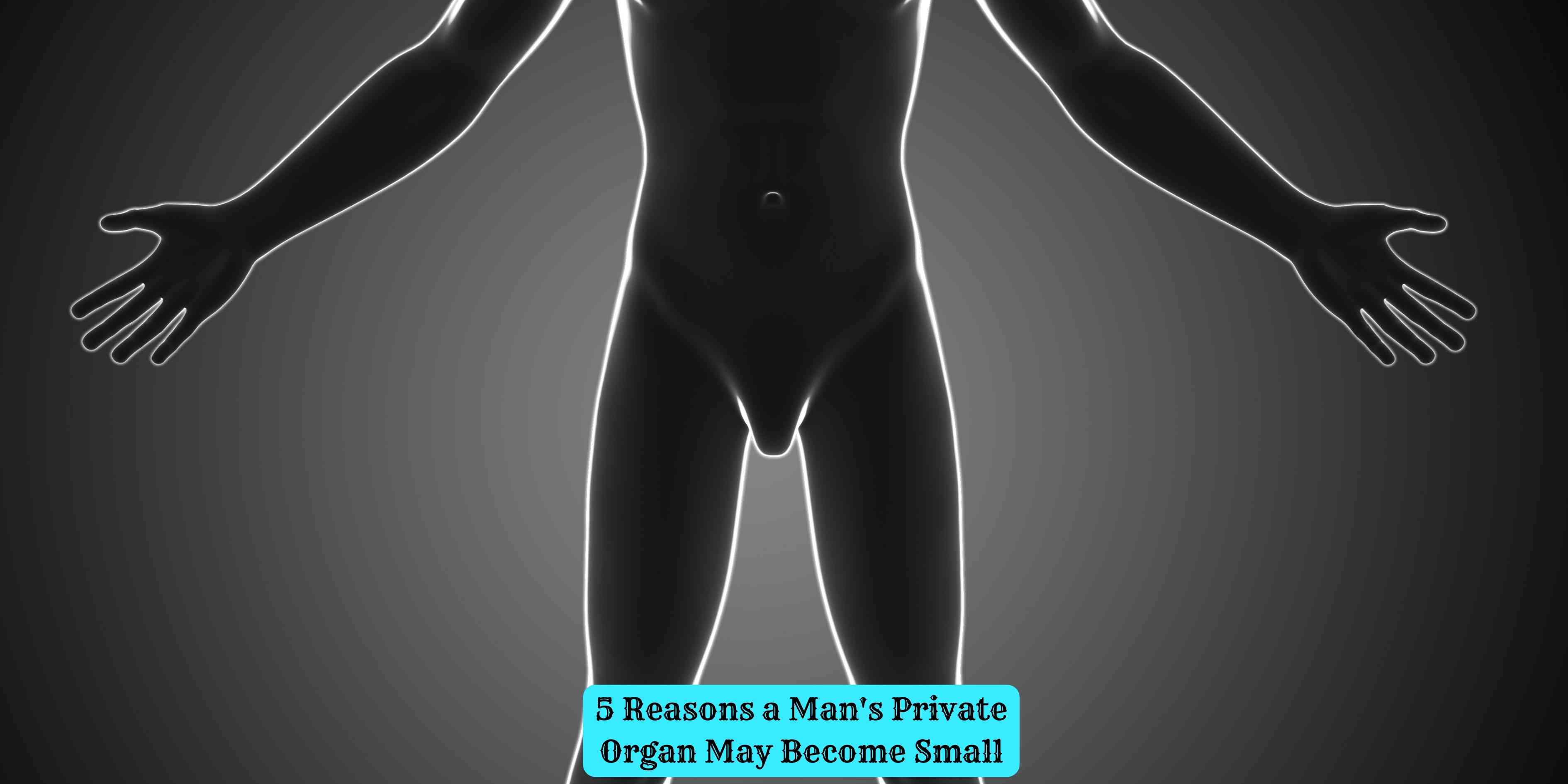 5 Reasons a Man's Private Organ May Become Small