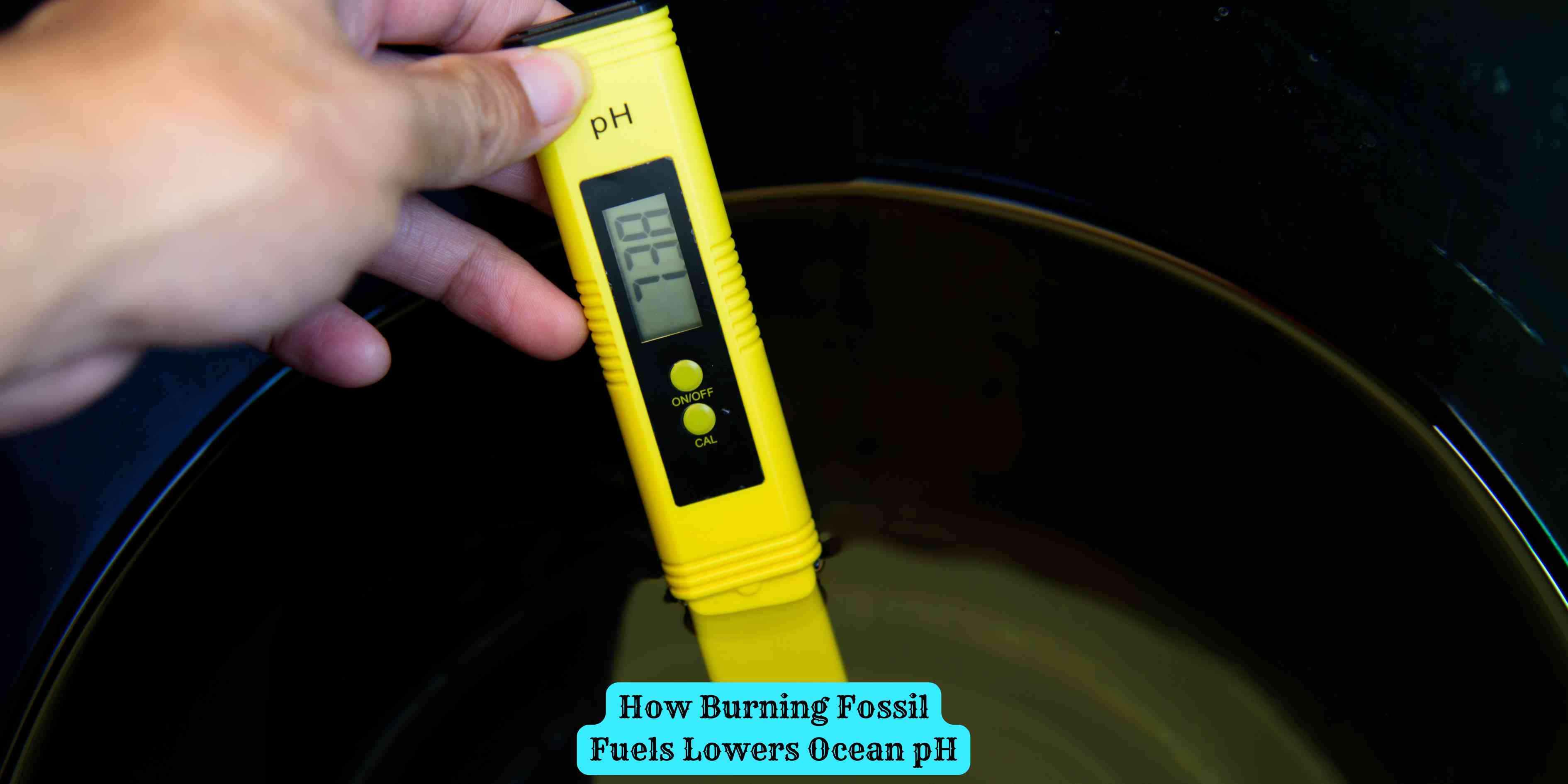 How Burning Fossil Fuels Lowers Ocean pH