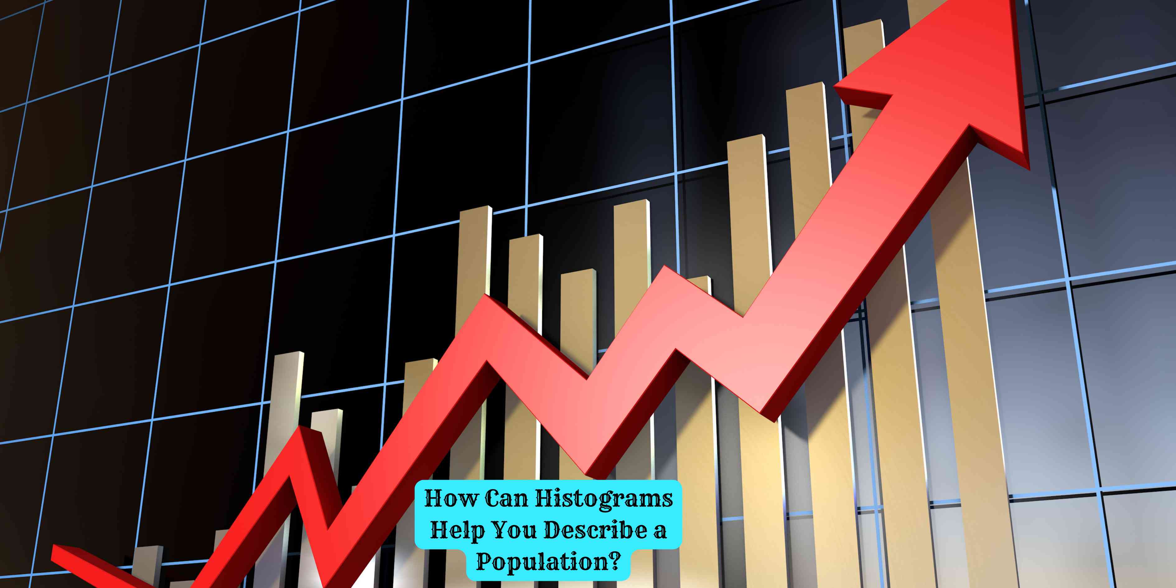How Can Histograms Help You Describe a Population