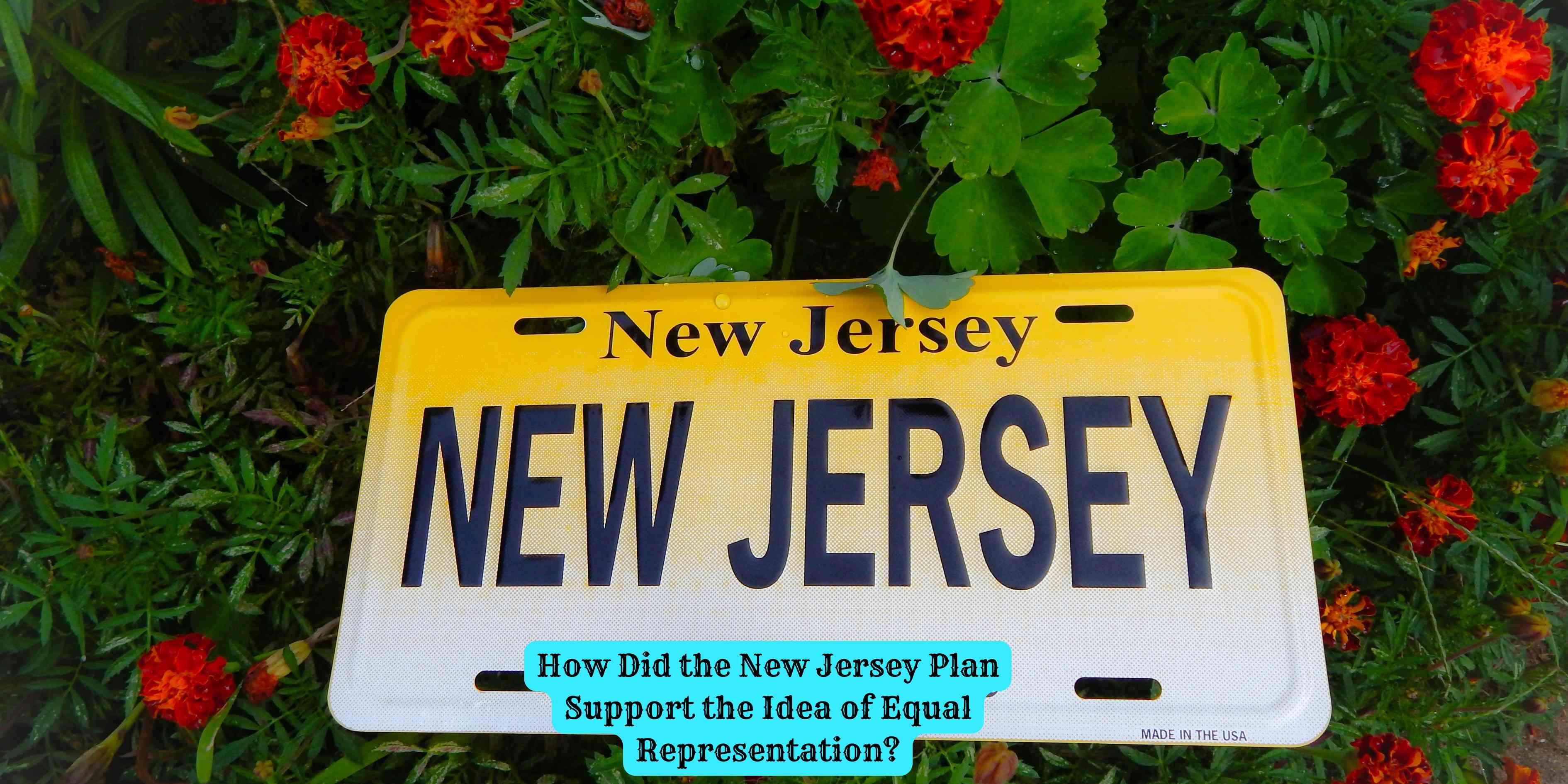How Did the New Jersey Plan Support the Idea of Equal Representation?