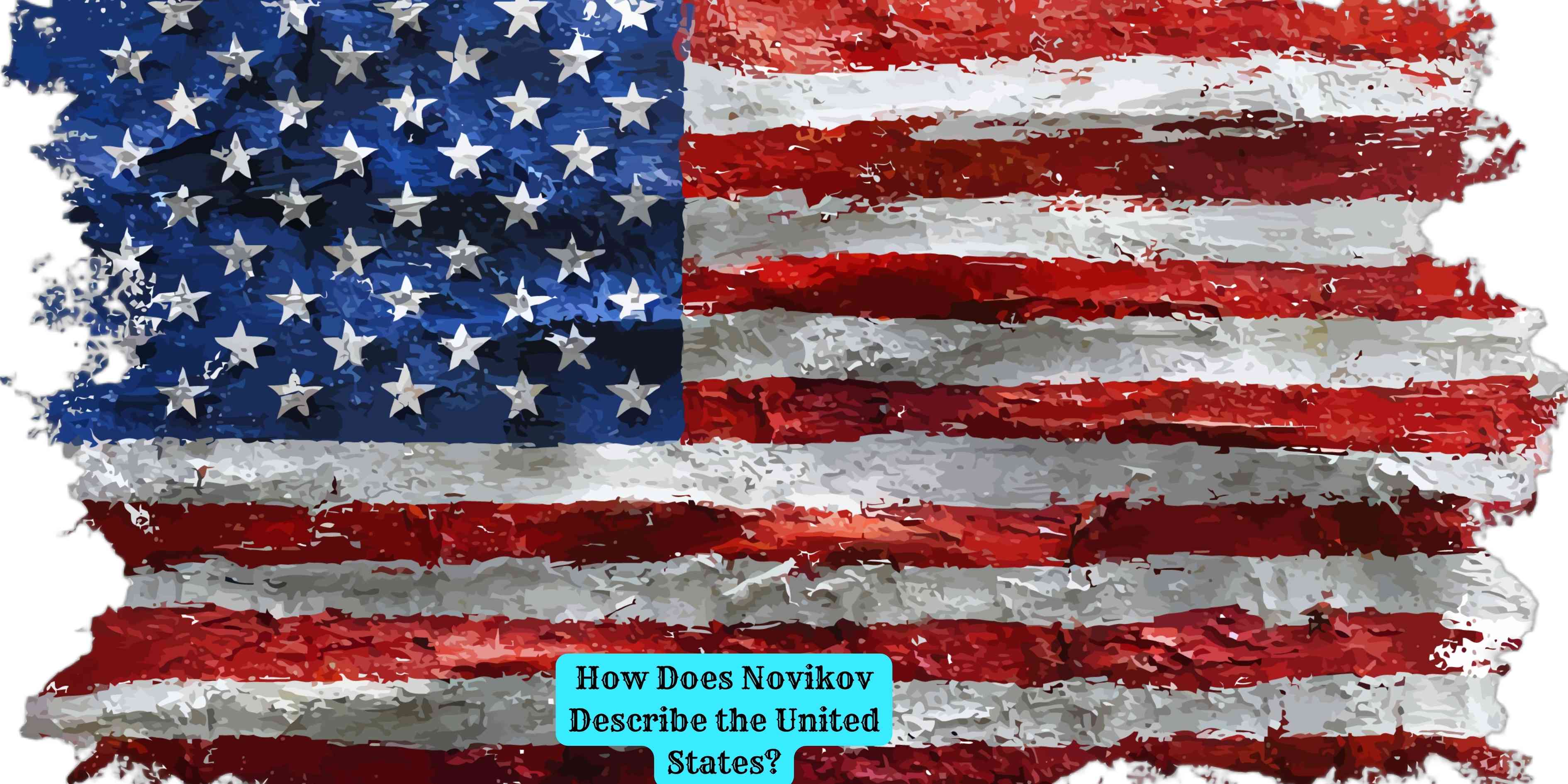 How Does Novikov Describe the United States?