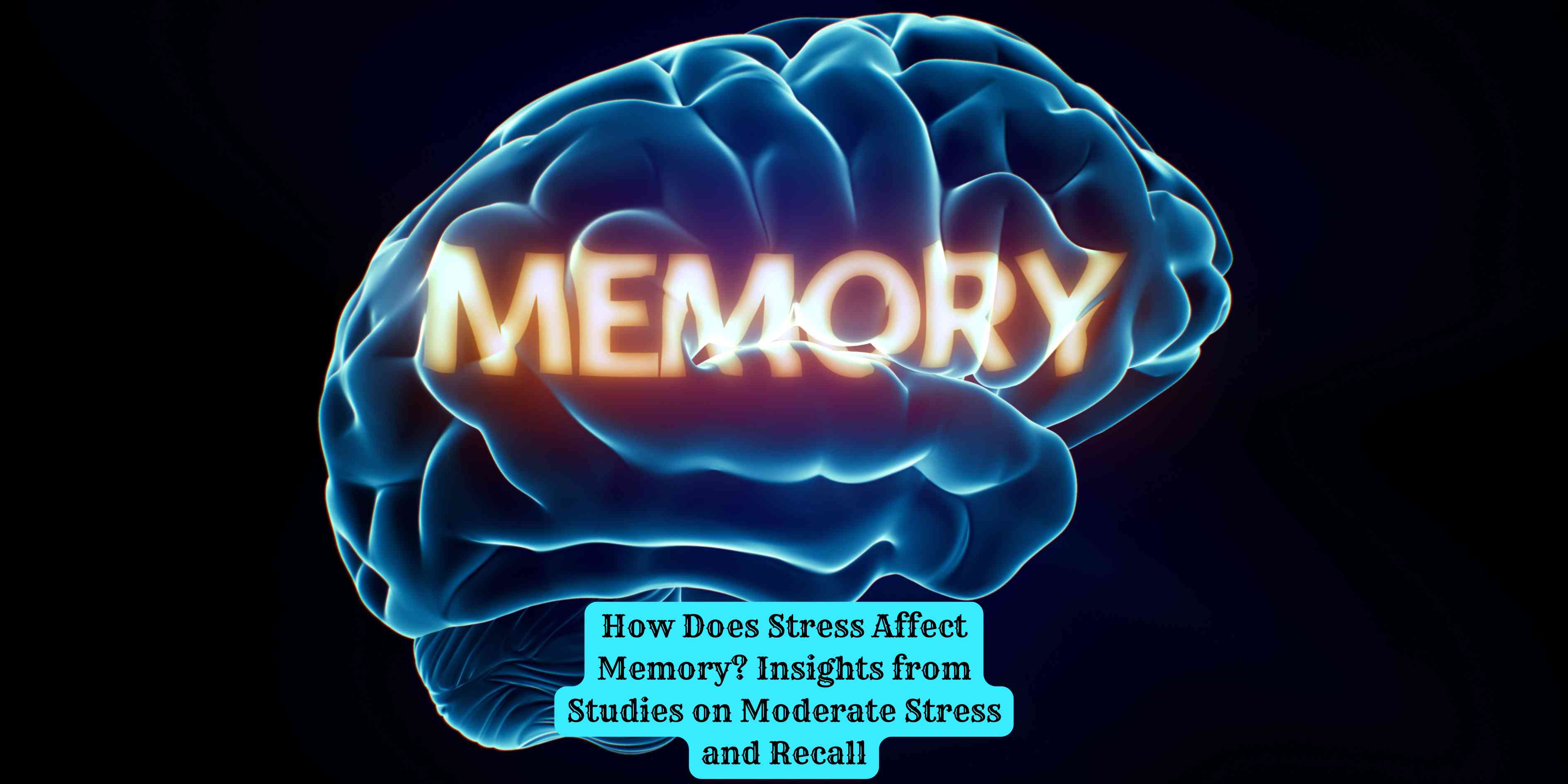 How Does Stress Affect Memory? Insights from Studies on Moderate Stress and Recall
