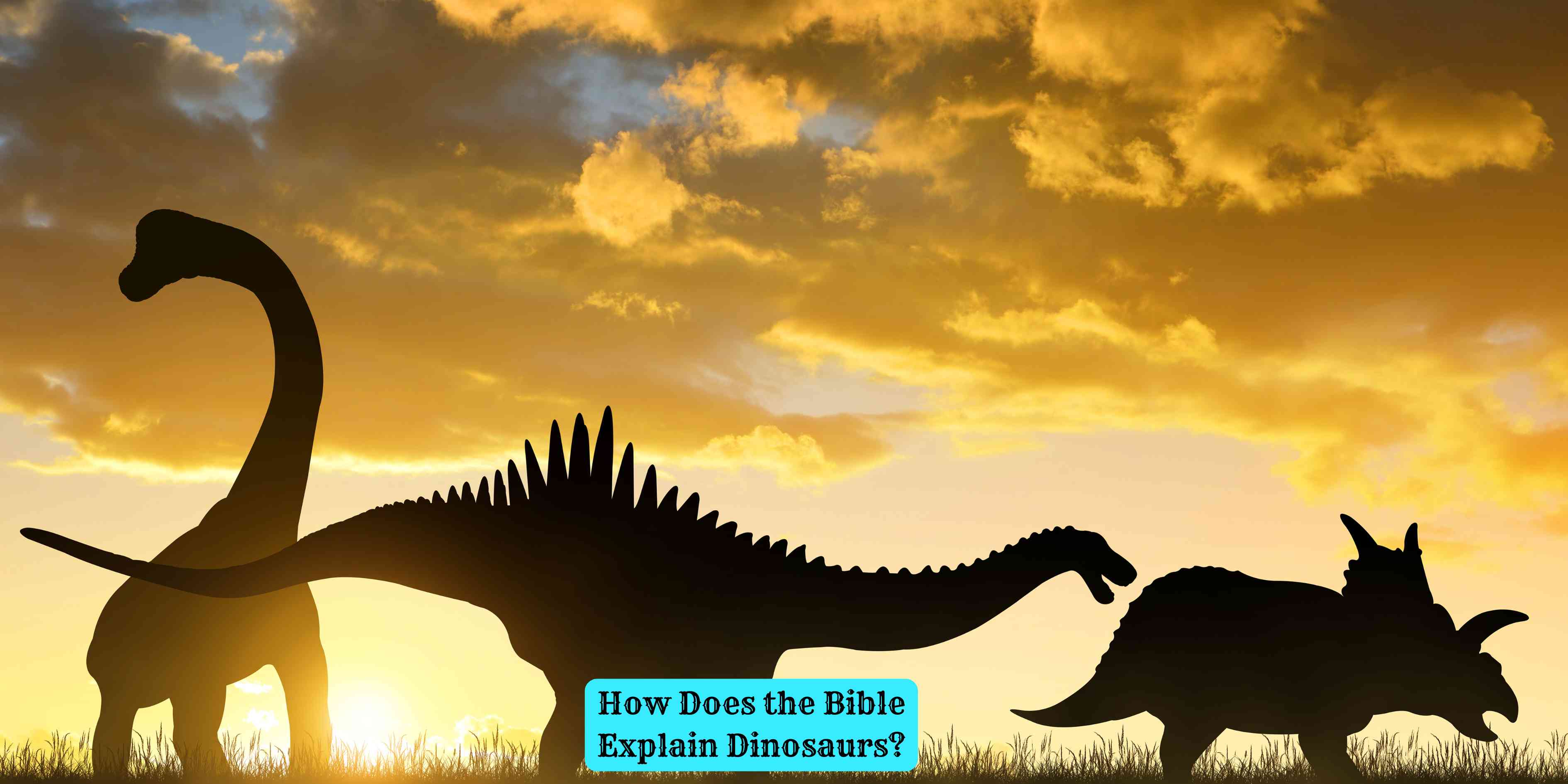 How Does the Bible Explain Dinosaurs