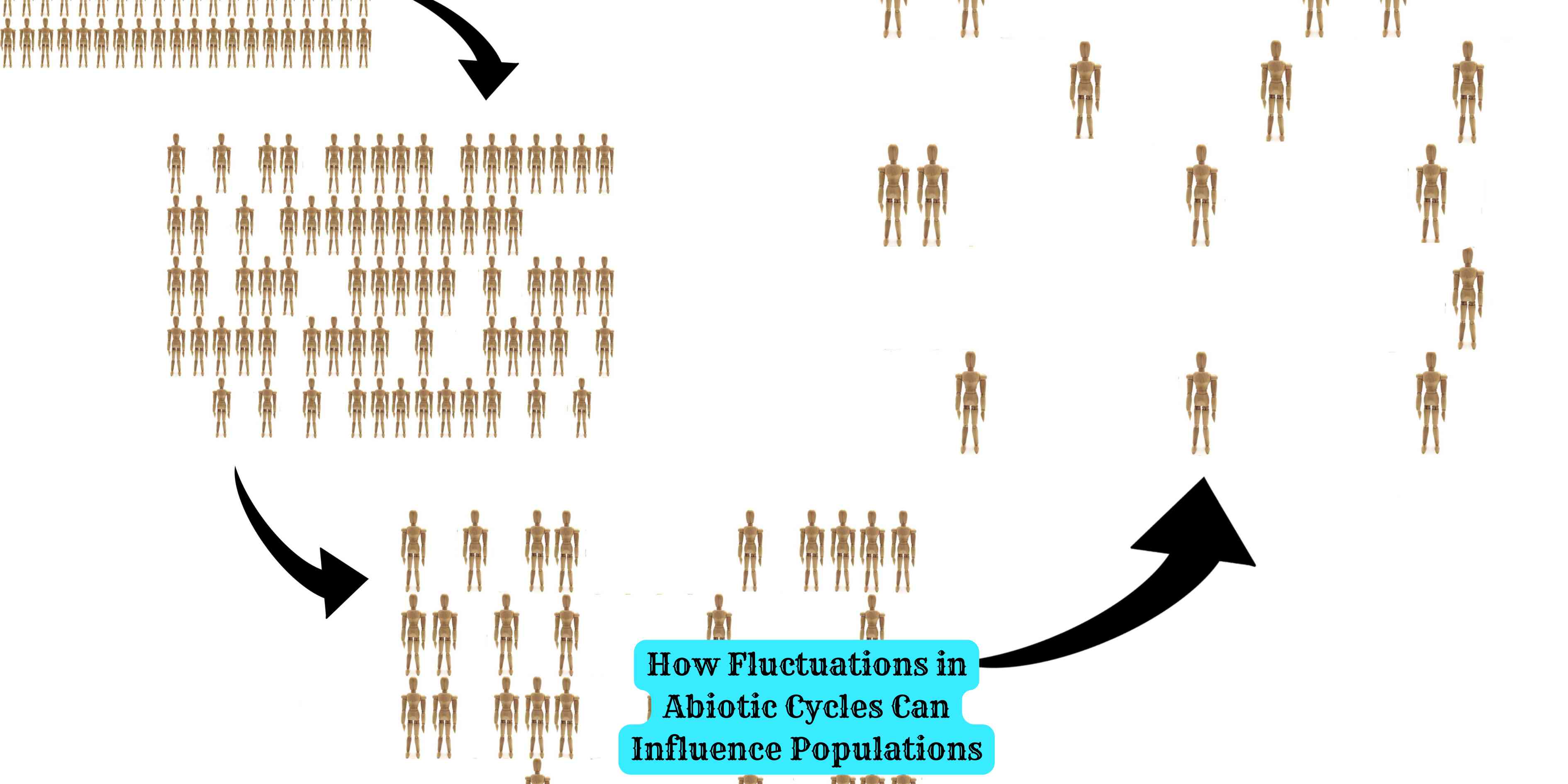 How Fluctuations in Abiotic Cycles Can Influence Populations