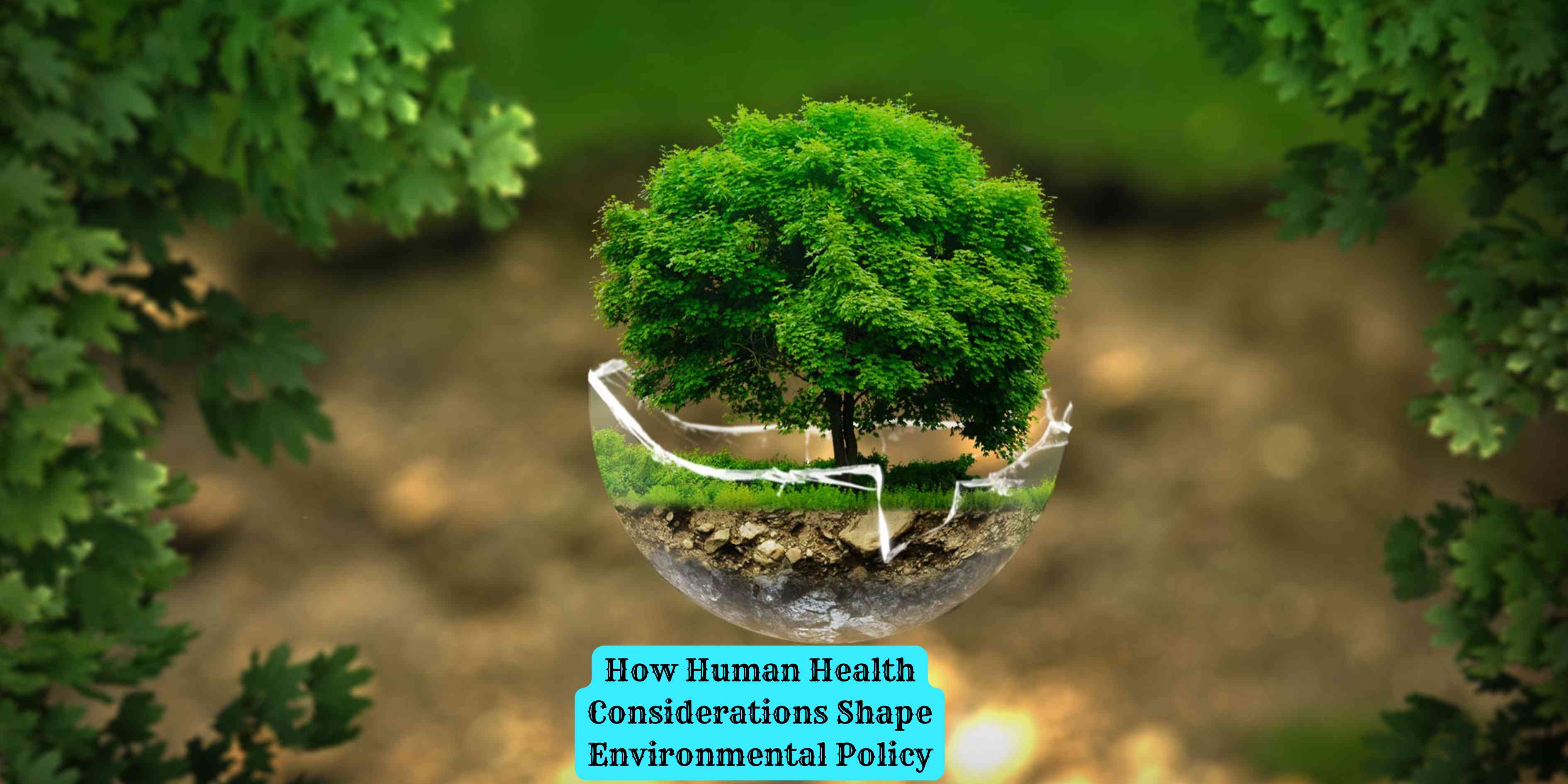 How Human Health Considerations Shape Environmental Policy