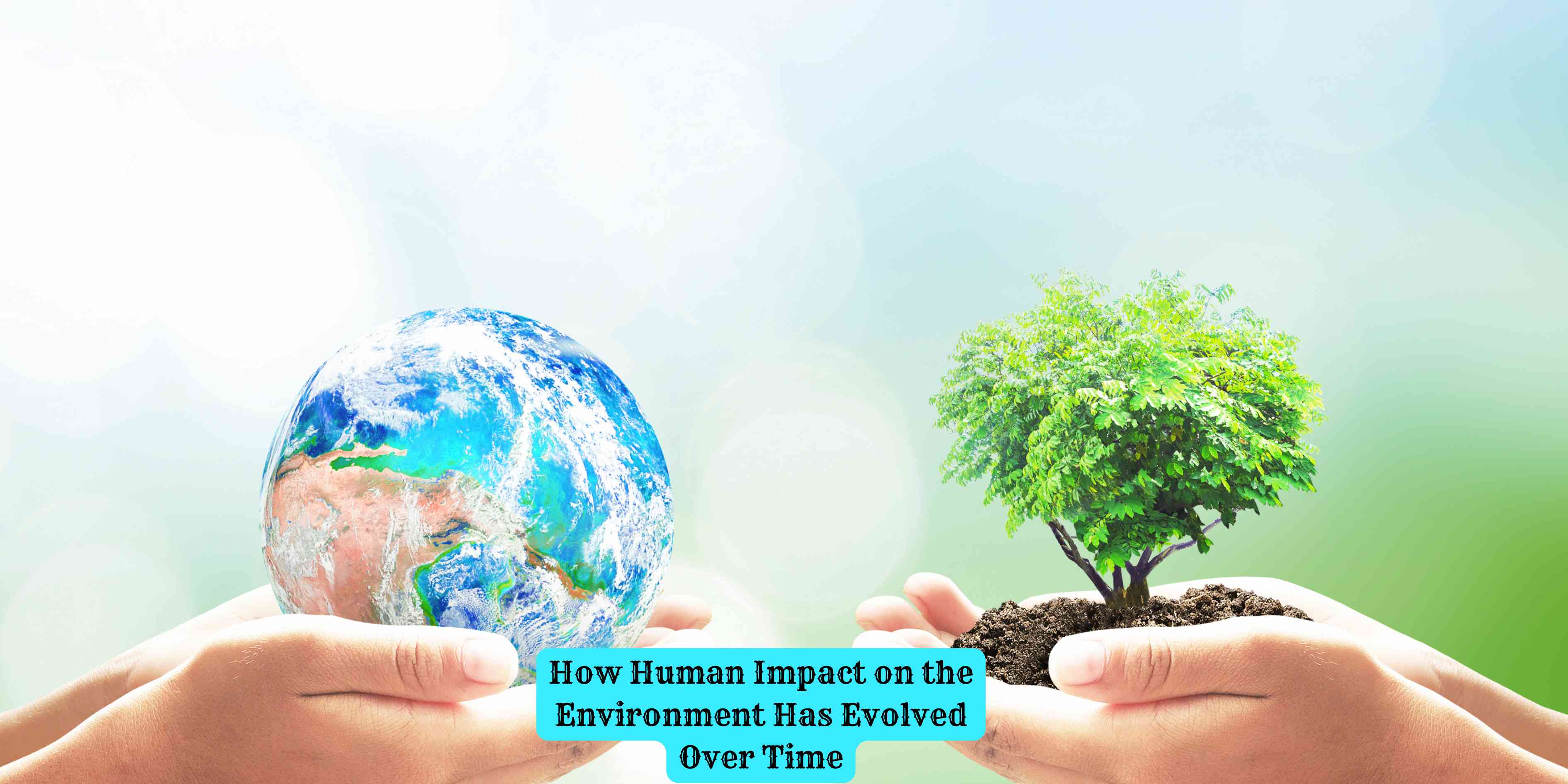 How Human Impact on the Environment Has Evolved Over Time