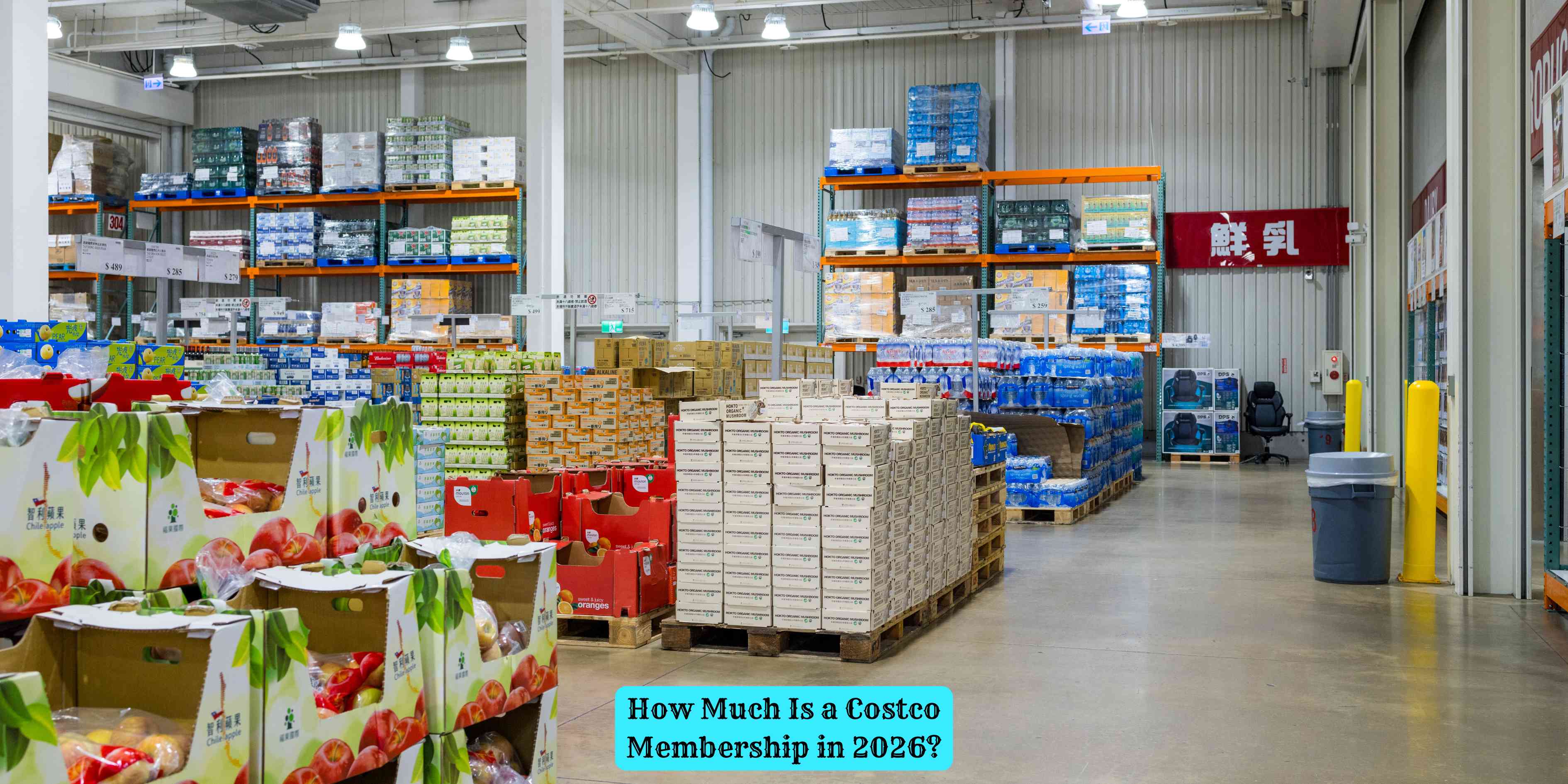 How Much Is a Costco Membership in 2026?