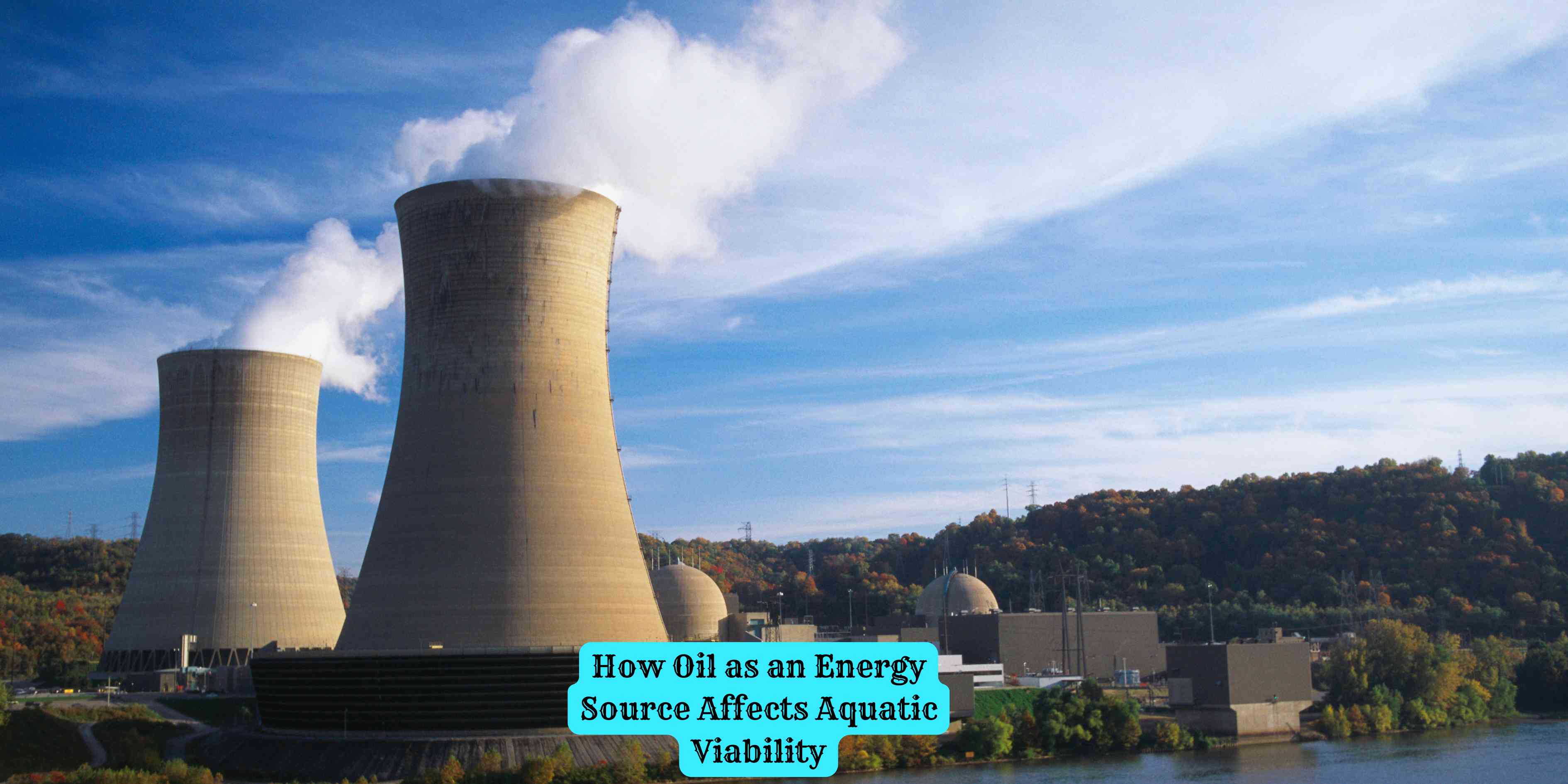 How Oil as an Energy Source Affects Aquatic Viability