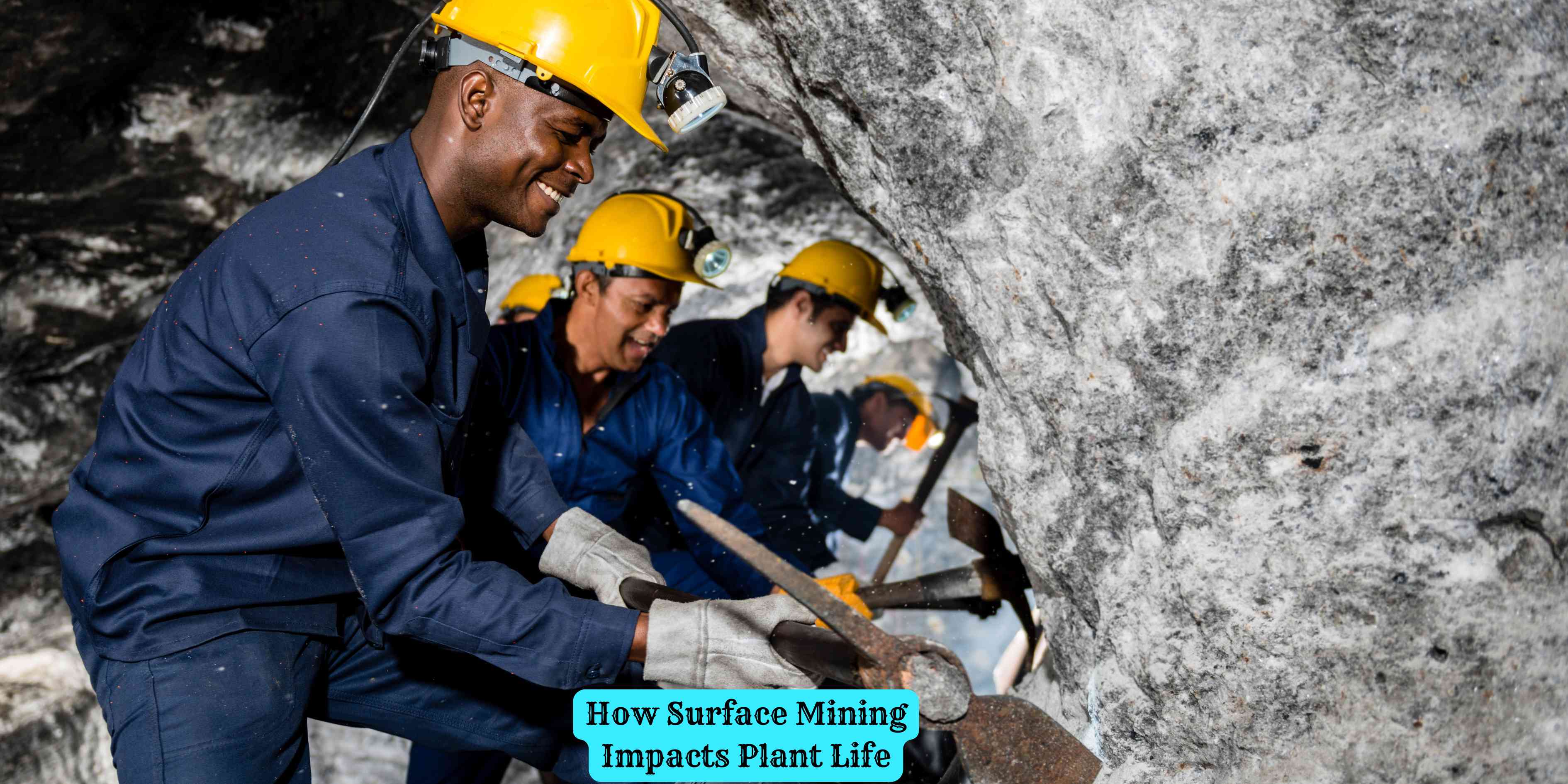 How Surface Mining Impacts Plant Life