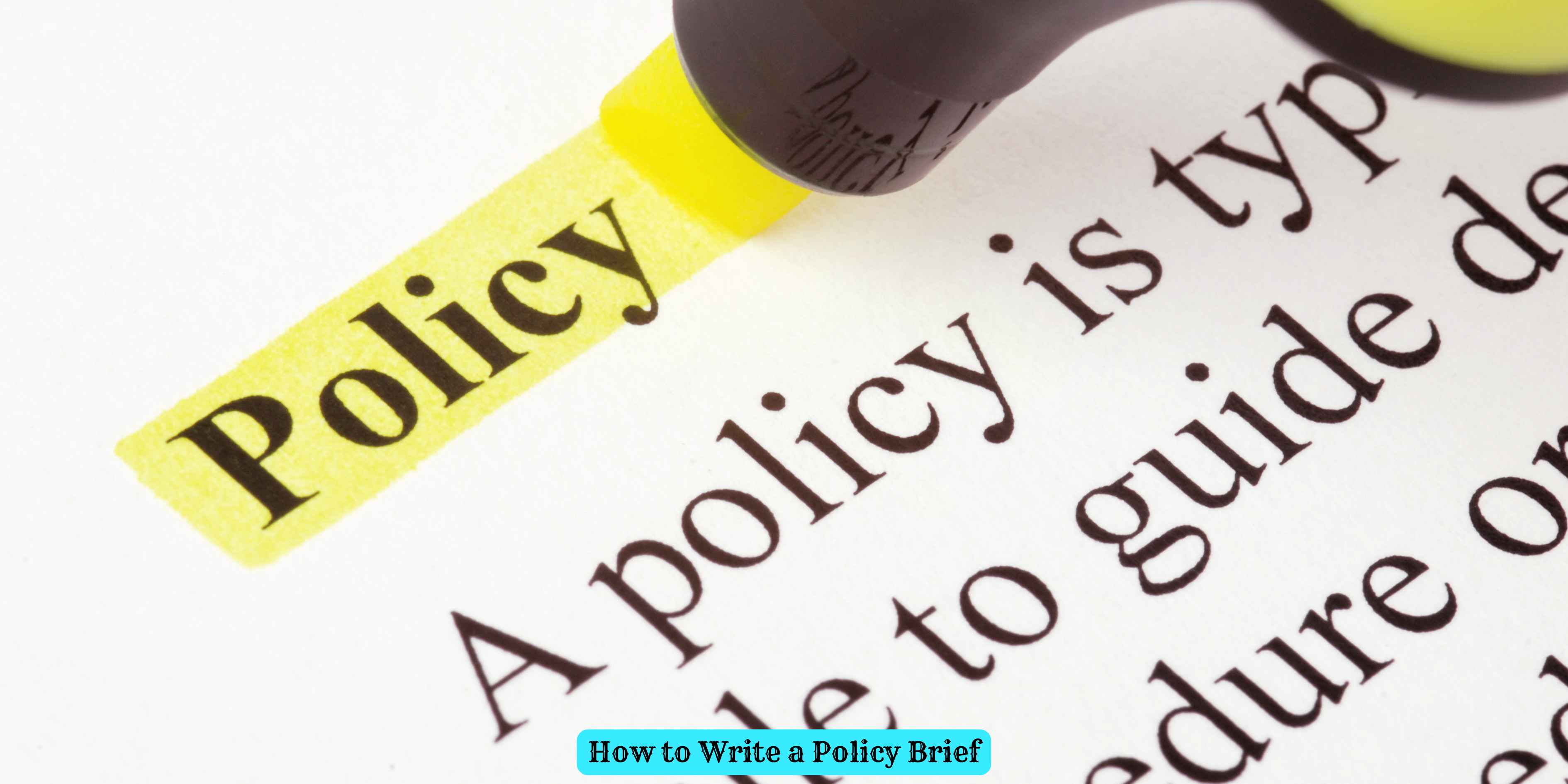 How to Write a Policy Brief