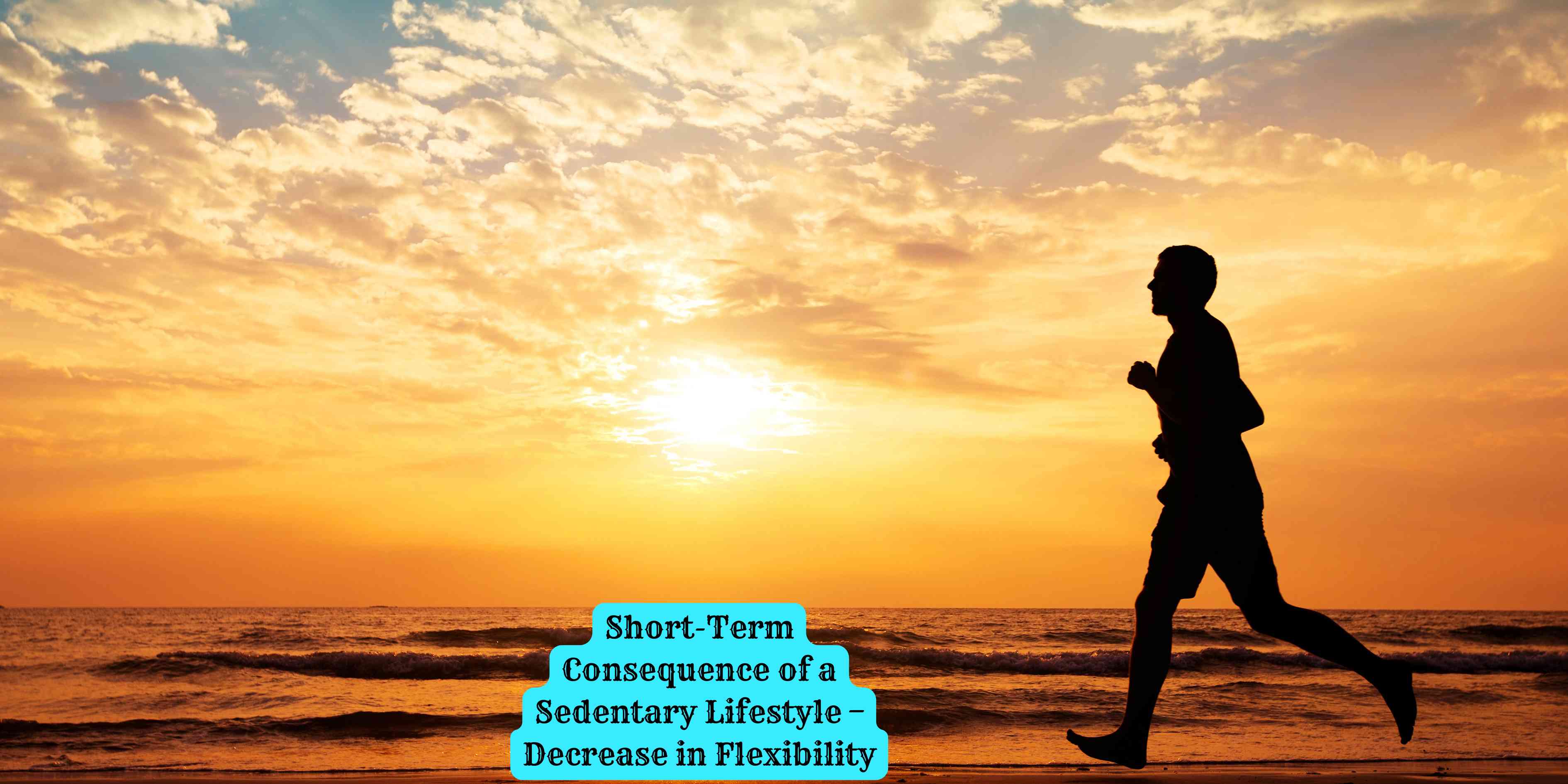 Short-Term Consequence of a Sedentary Lifestyle – Decrease in Flexibility