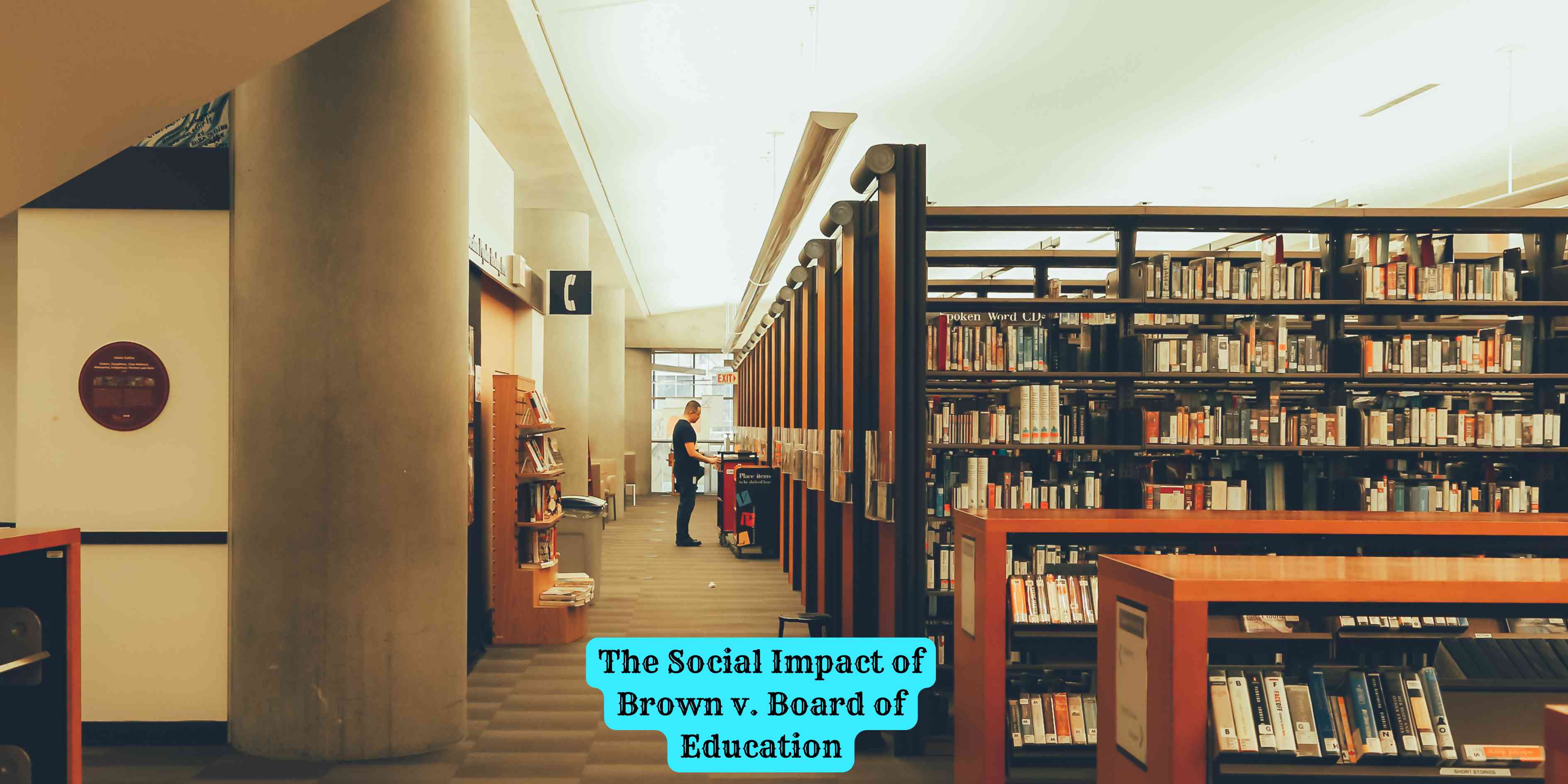The Social Impact of Brown v. Board of Education