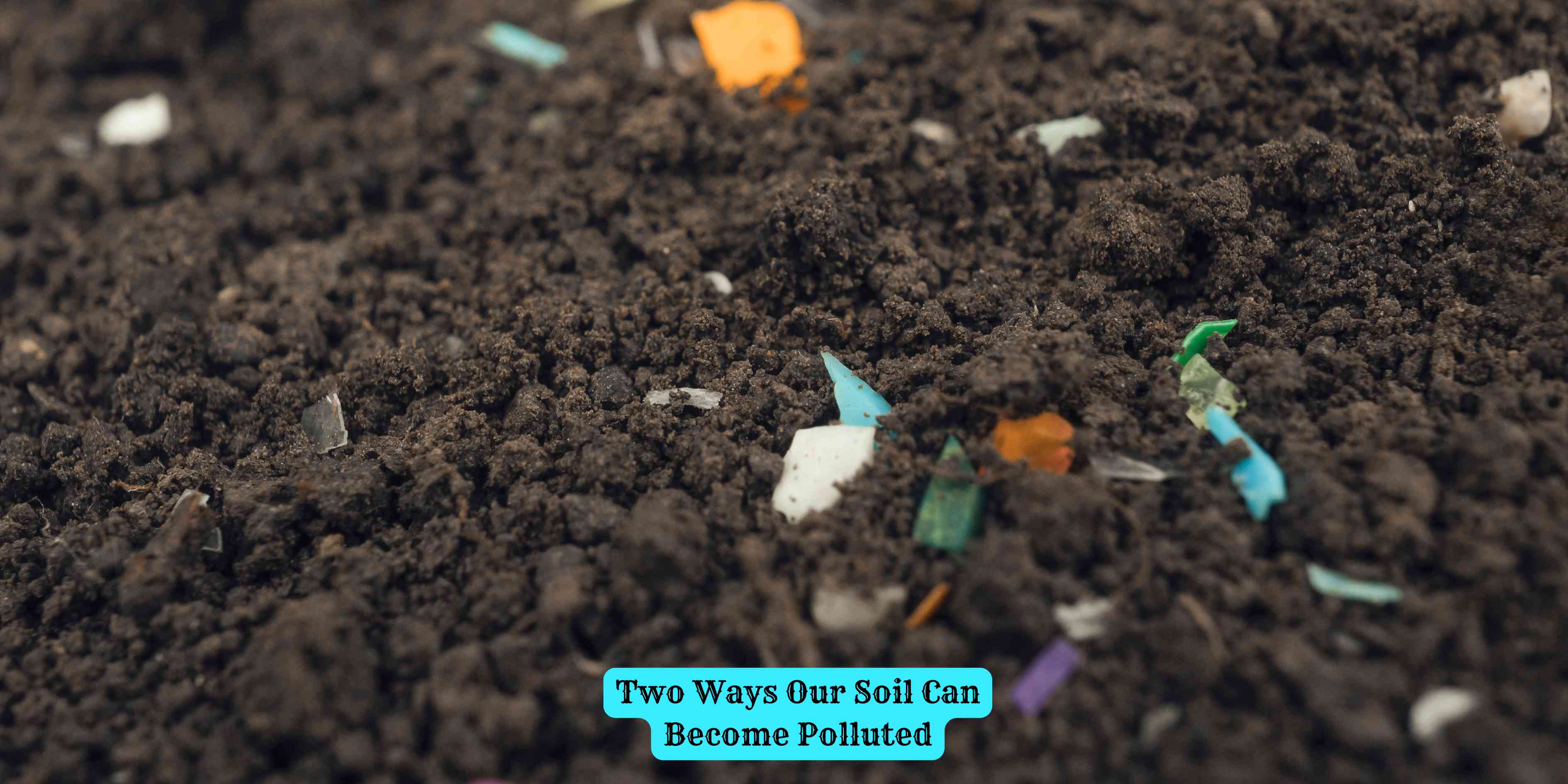 Two Ways Our Soil Can Become Polluted