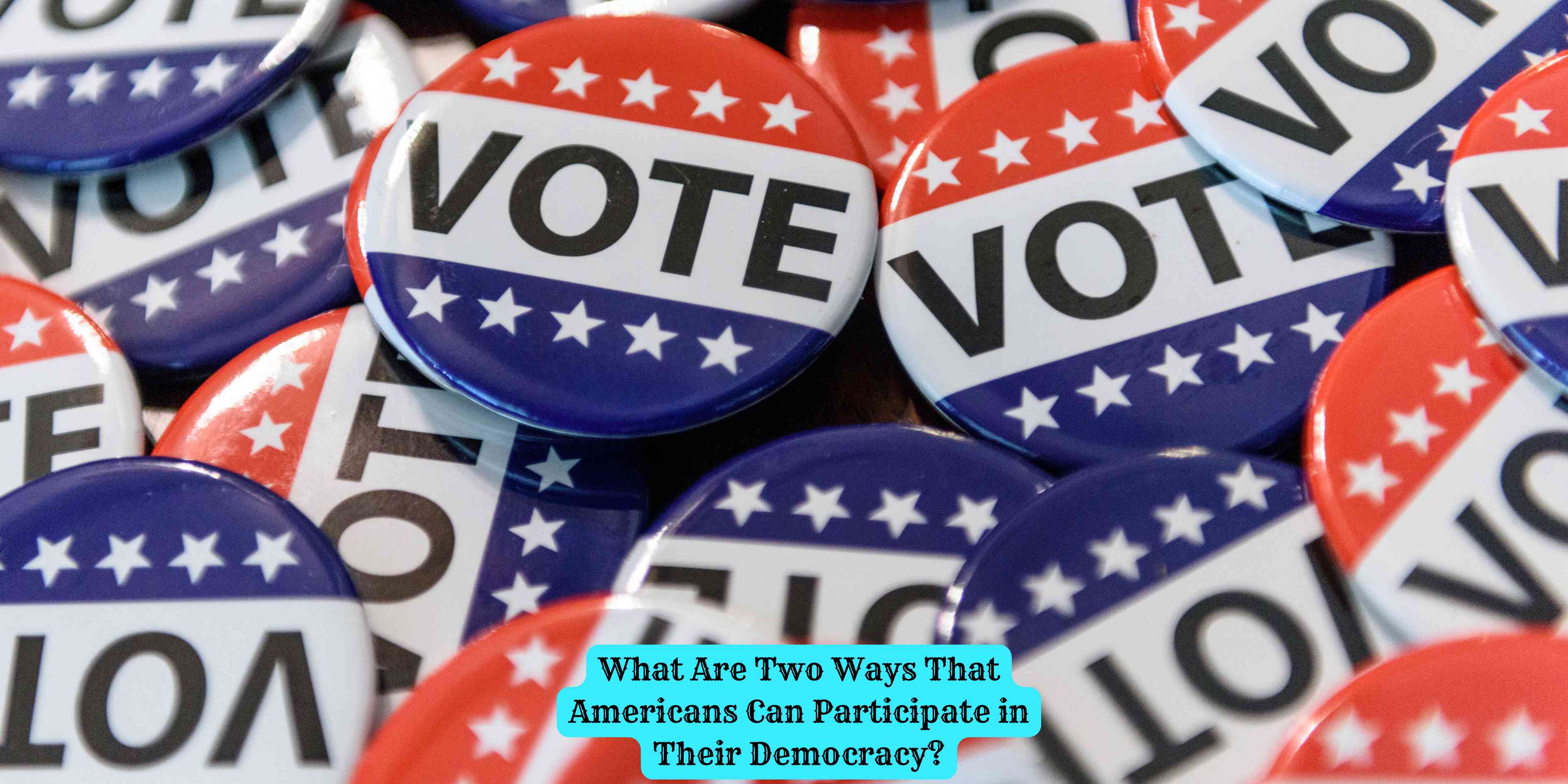What Are Two Ways That Americans Can Participate in Their Democracy?