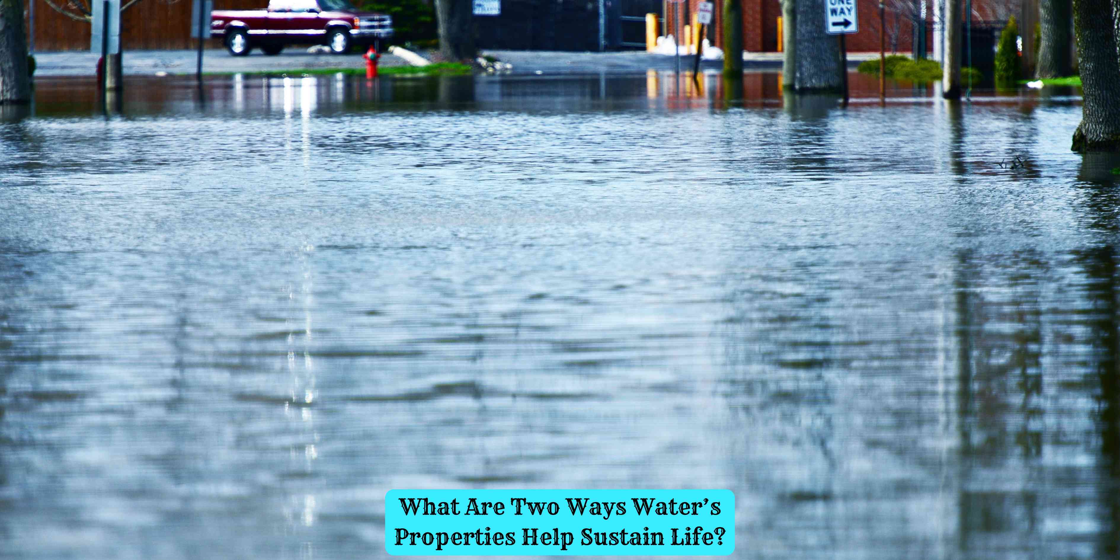 What Are Two Ways Water's Properties Help Sustain Life?