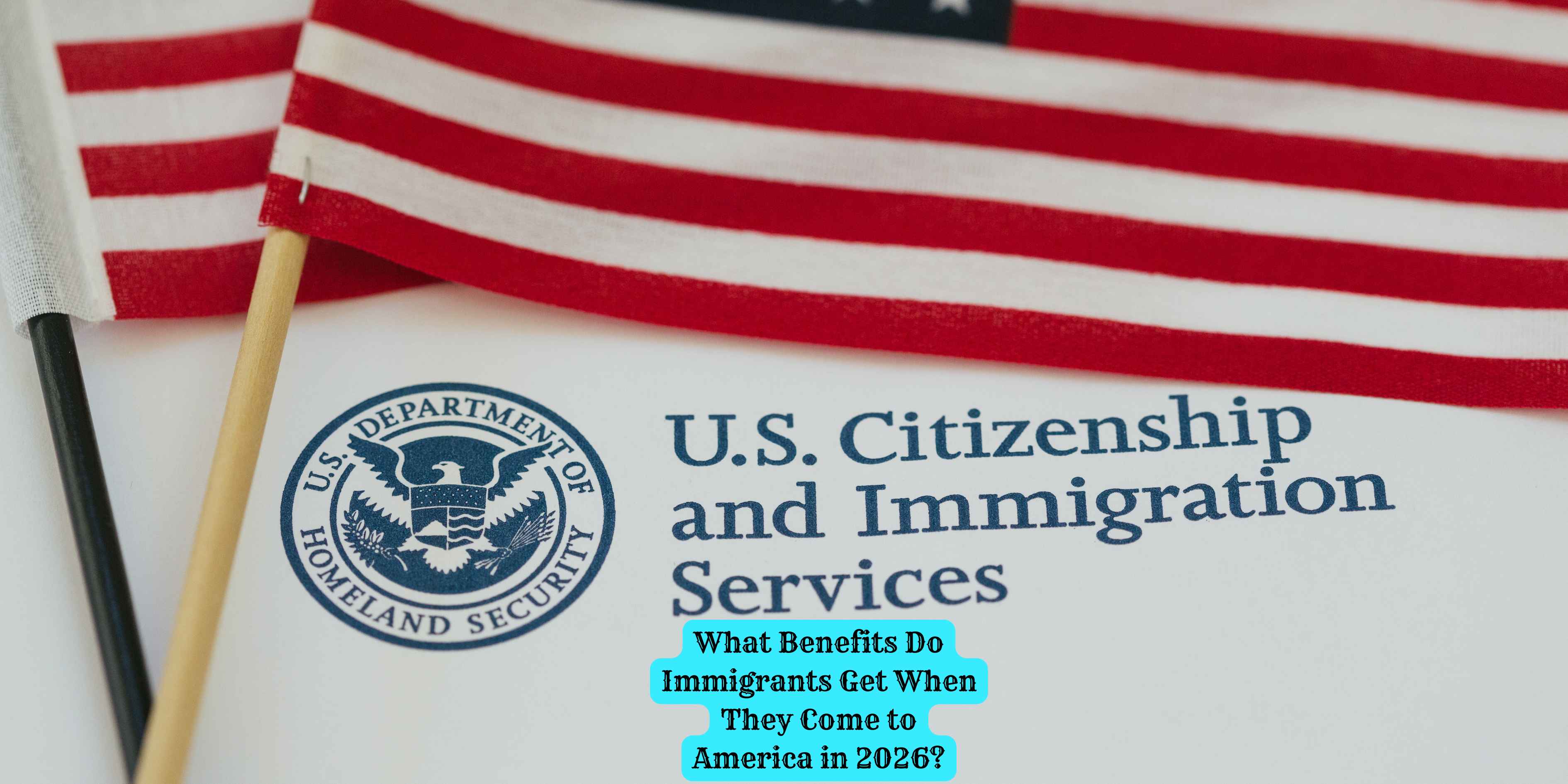 What Benefits Do Immigrants Get When They Come to America in 2026?