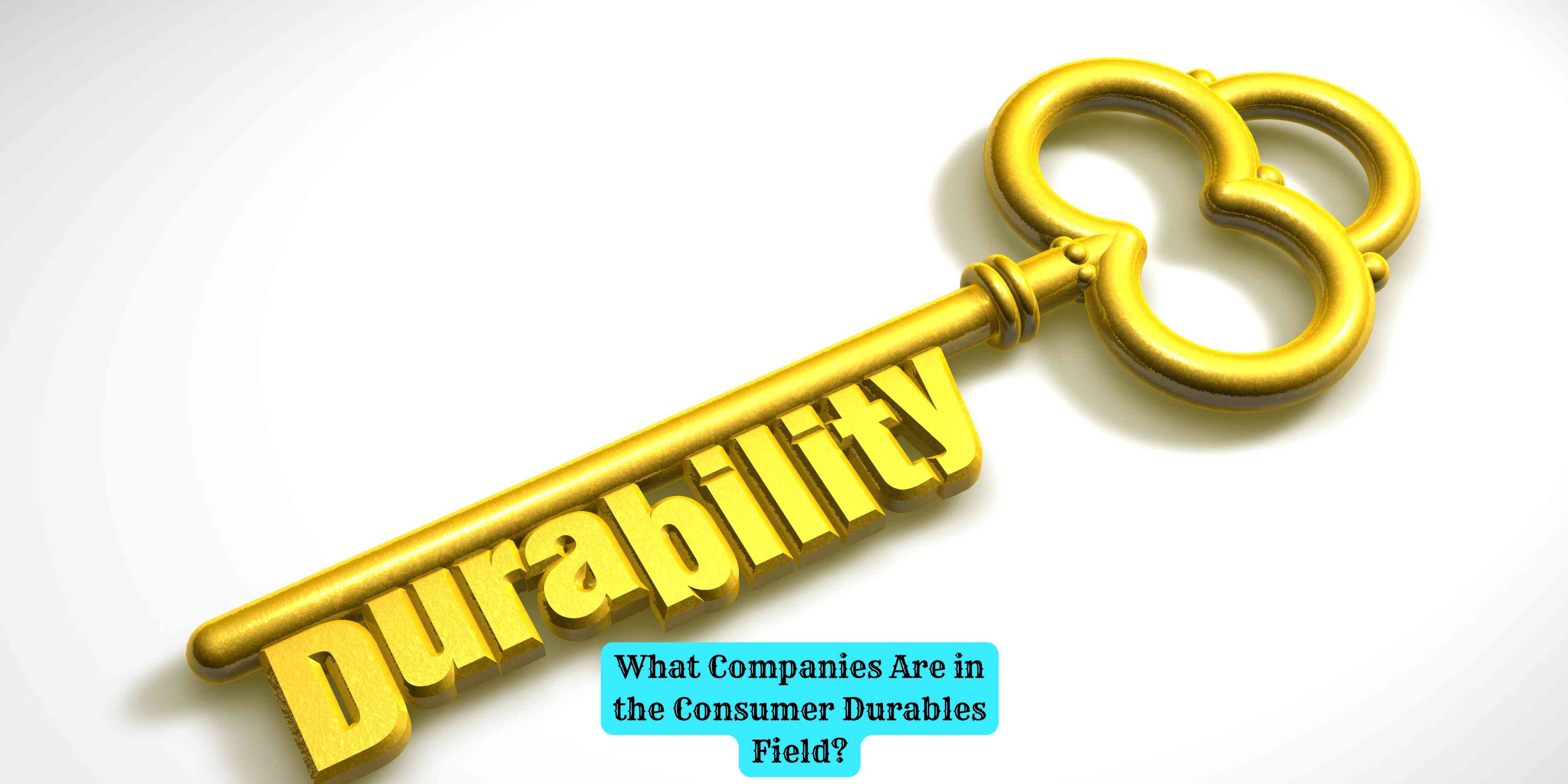 What Companies Are in the Consumer Durables Field