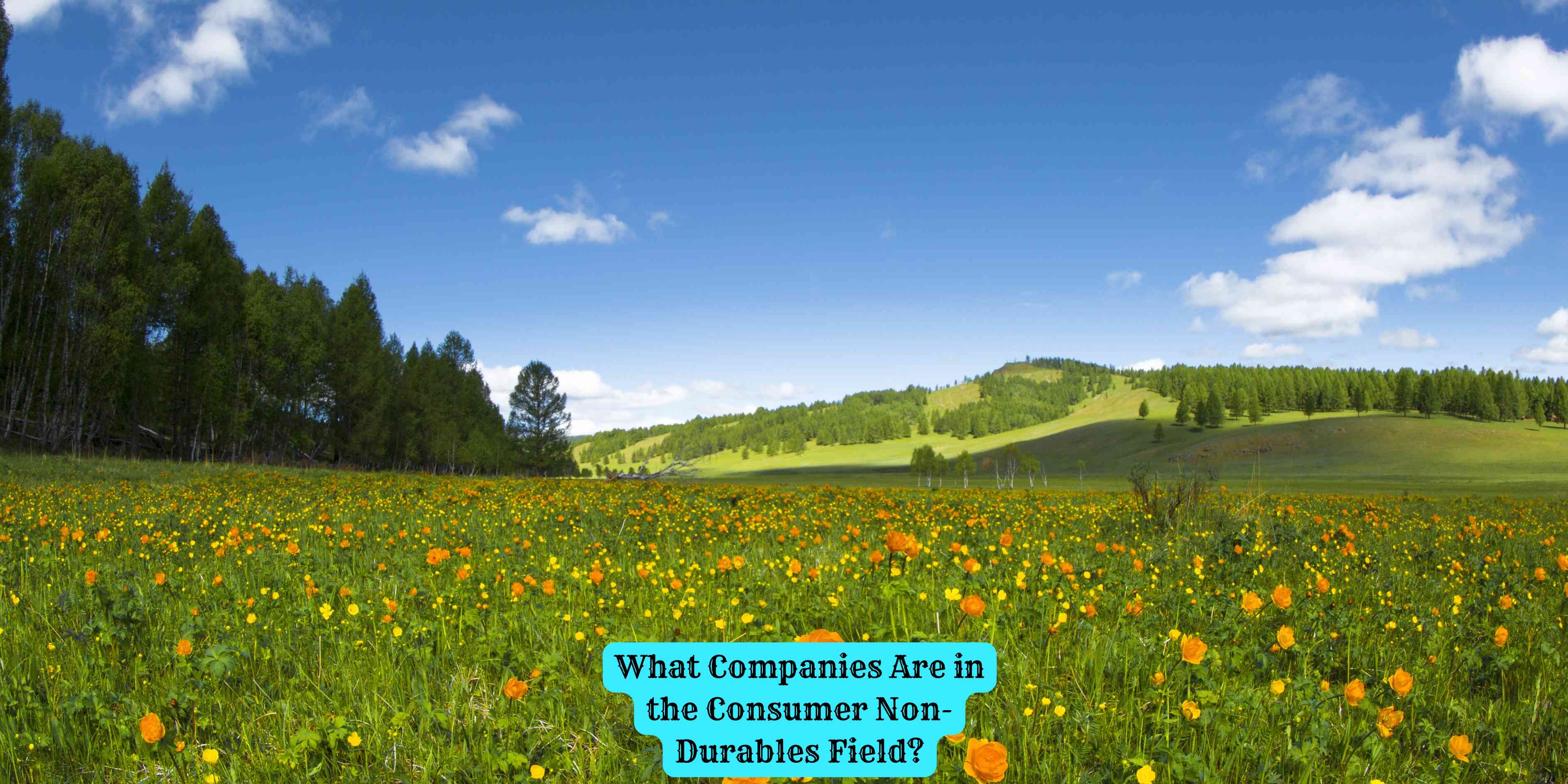 What Companies Are in the Consumer Non-Durables Field