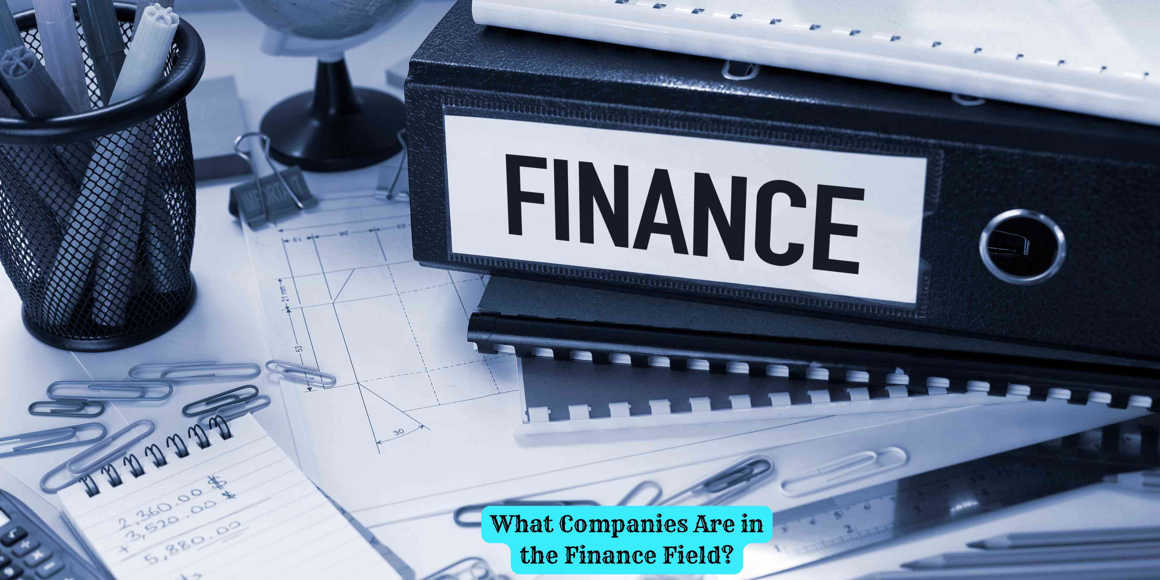 What Companies Are in the Finance Field