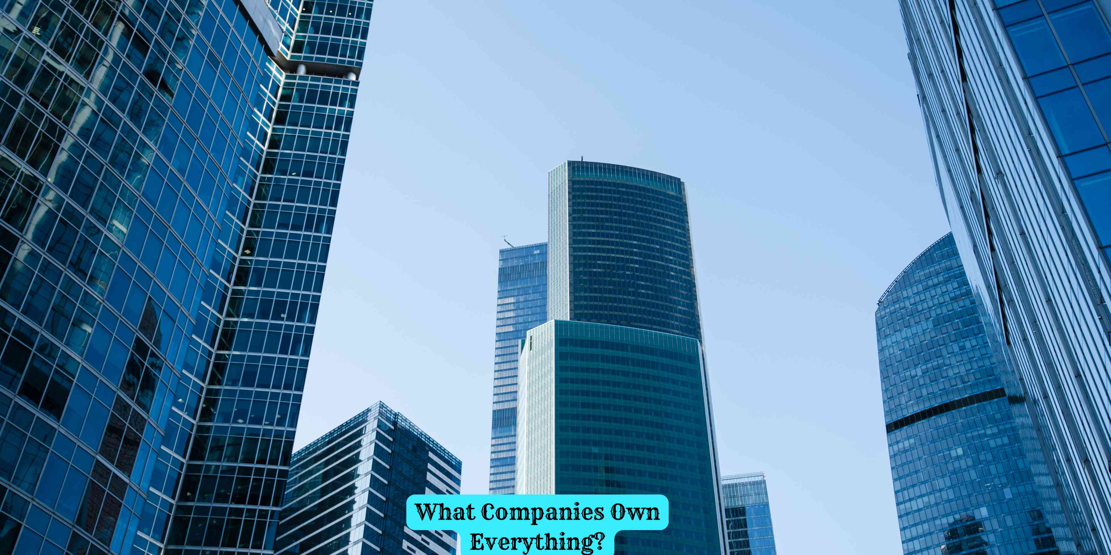 What Companies Own Everything?