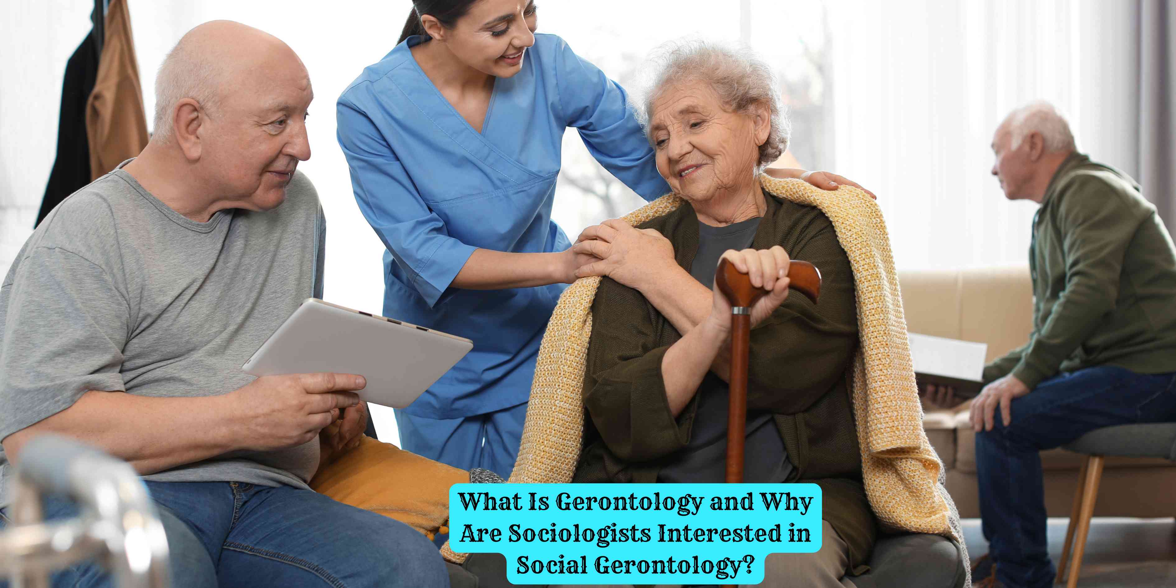 What Is Gerontology and Why Are Sociologists Interested in Social Gerontology?