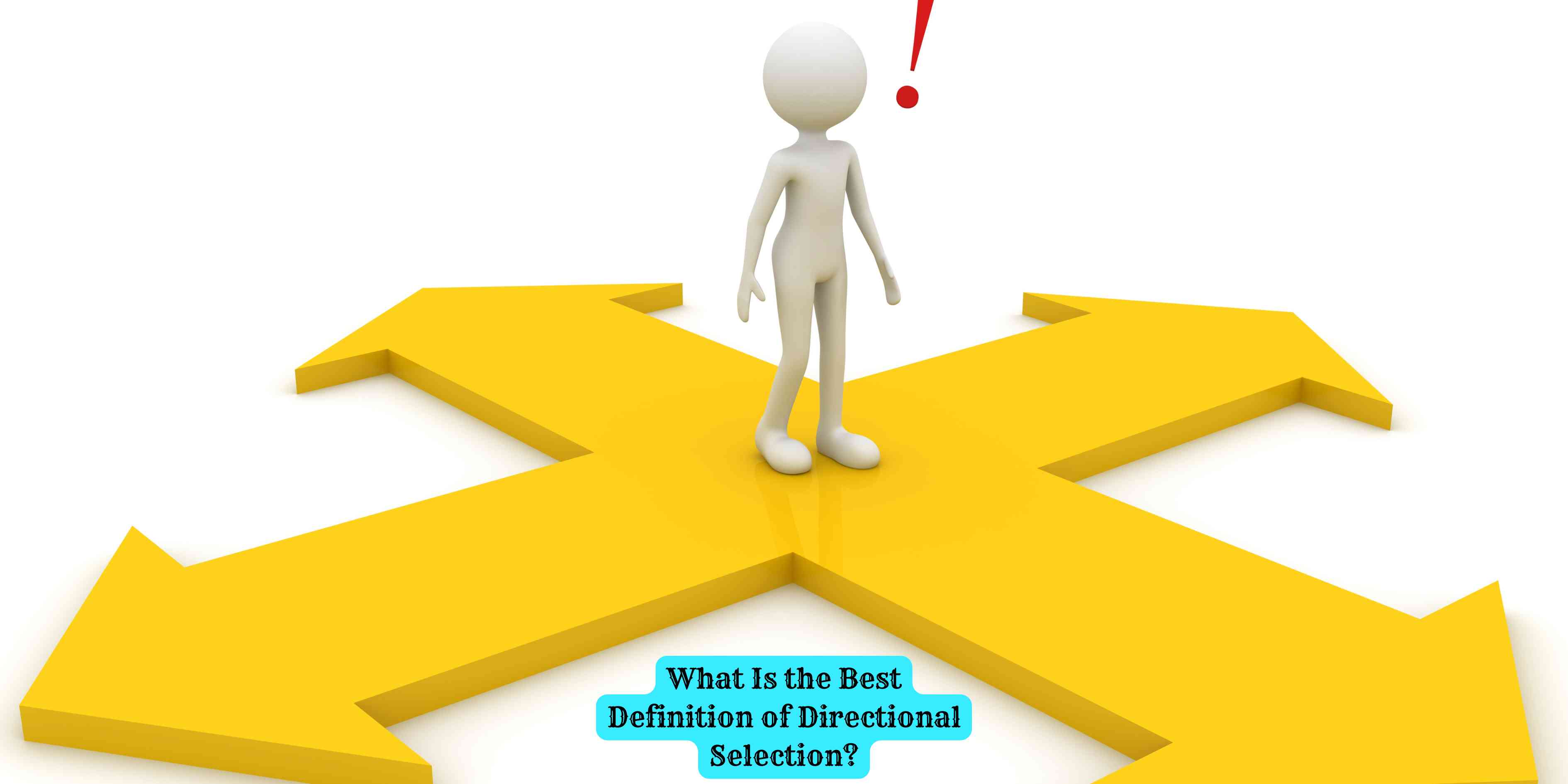 What Is the Best Definition of Directional Selection?
