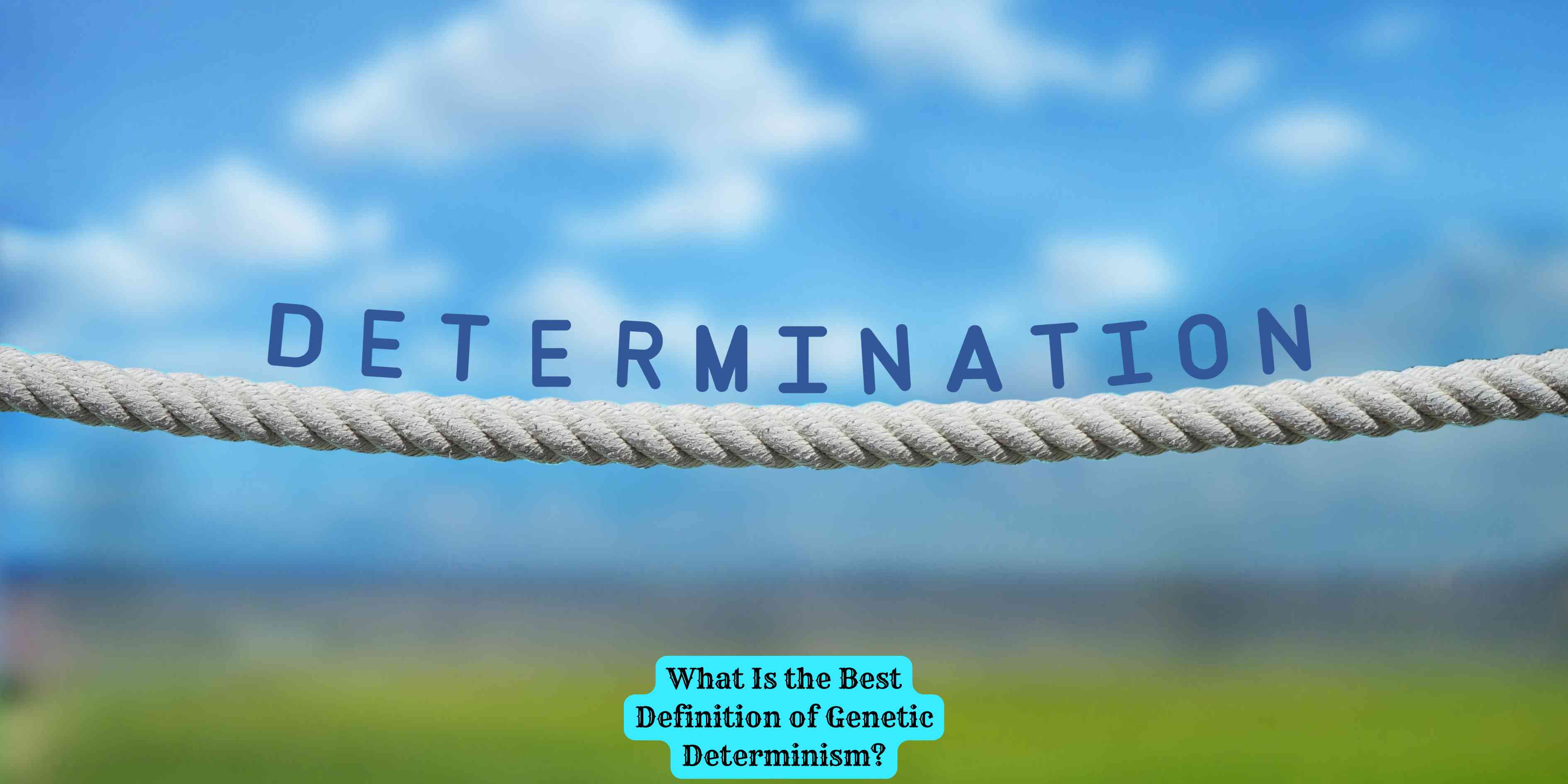What Is the Best Definition of Genetic Determinism?