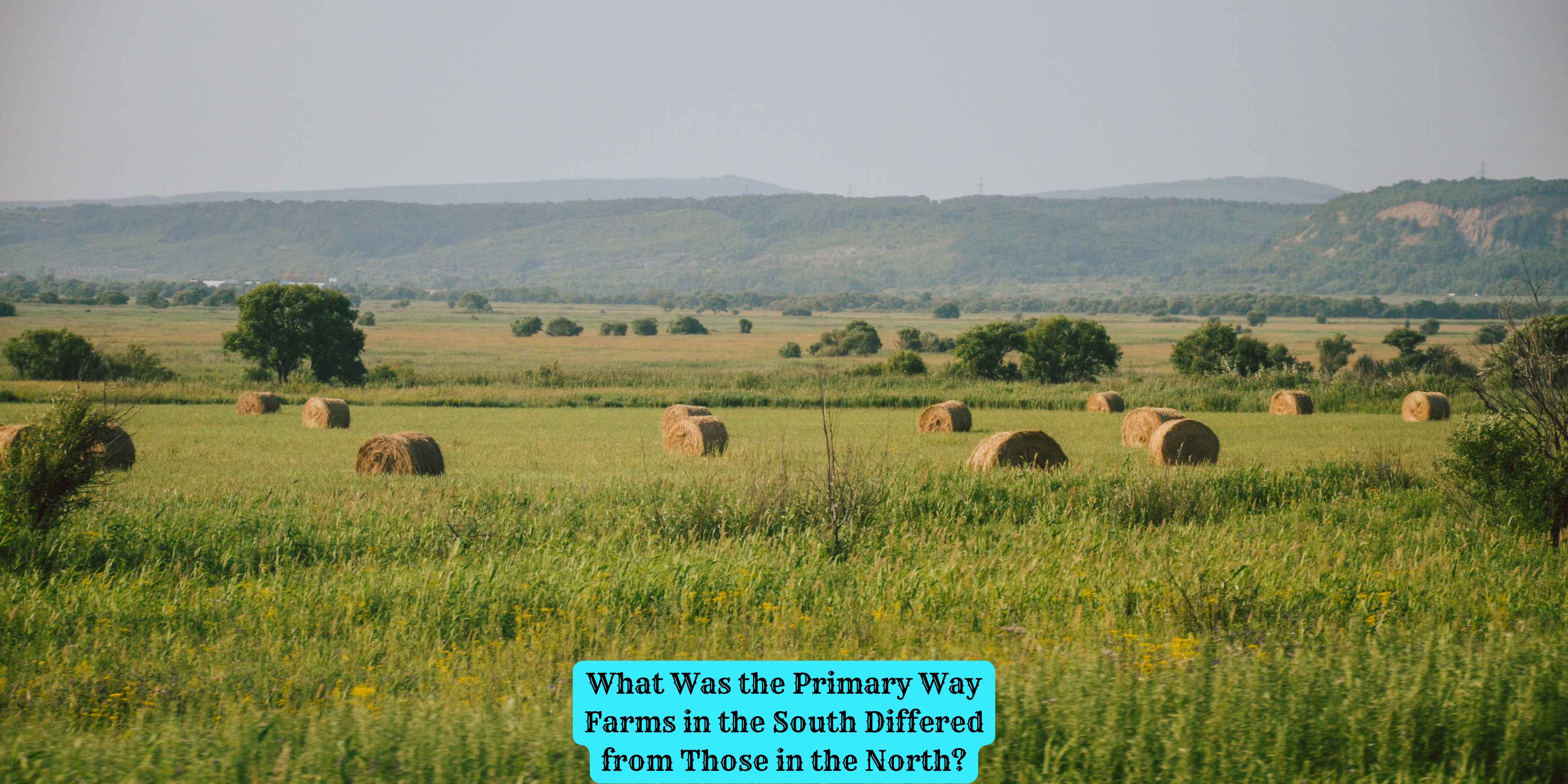 What Was the Primary Way Farms in the South Differed from Those in the North?