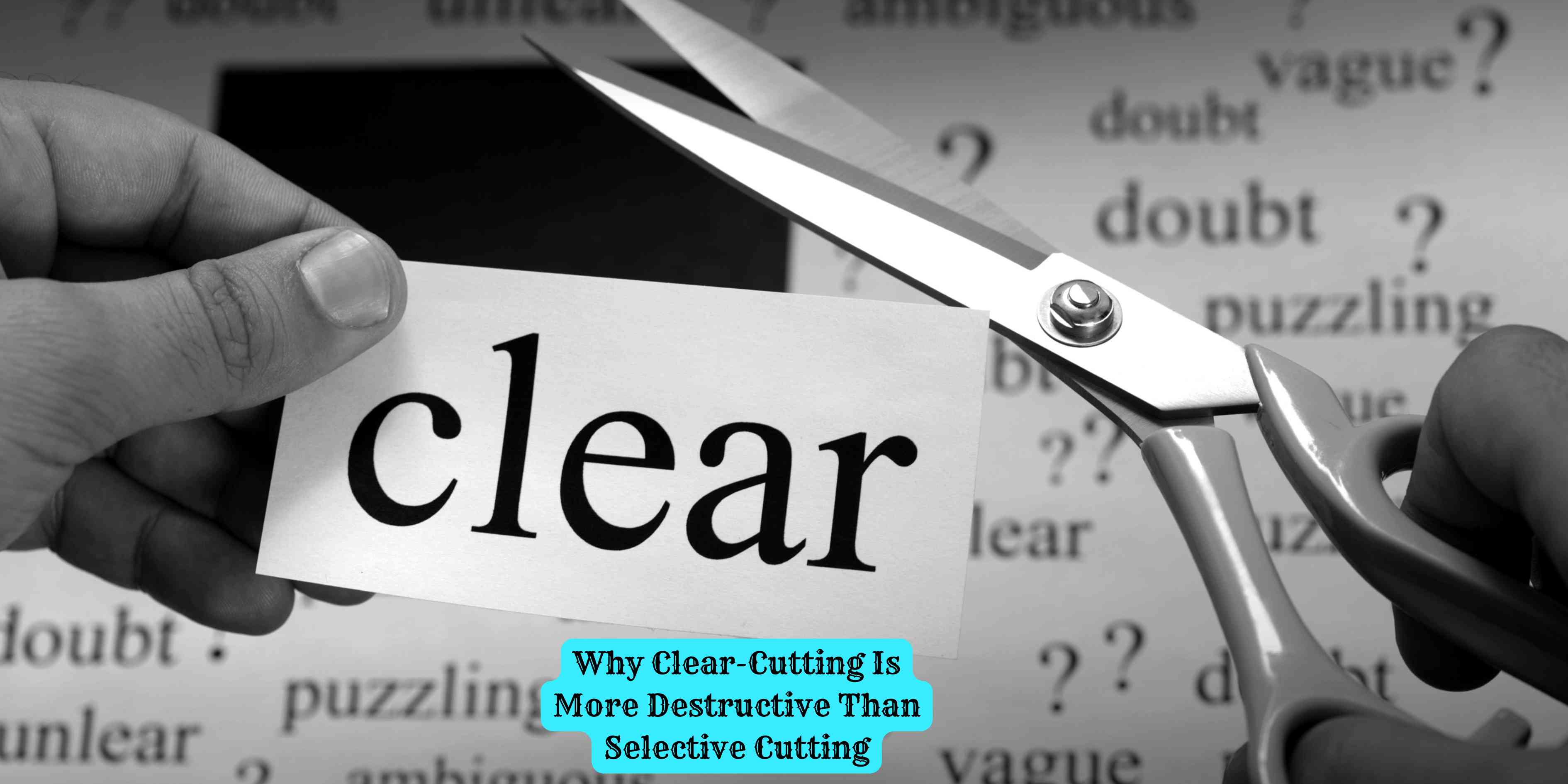 Why Clear-Cutting Is More Destructive Than Selective Cutting