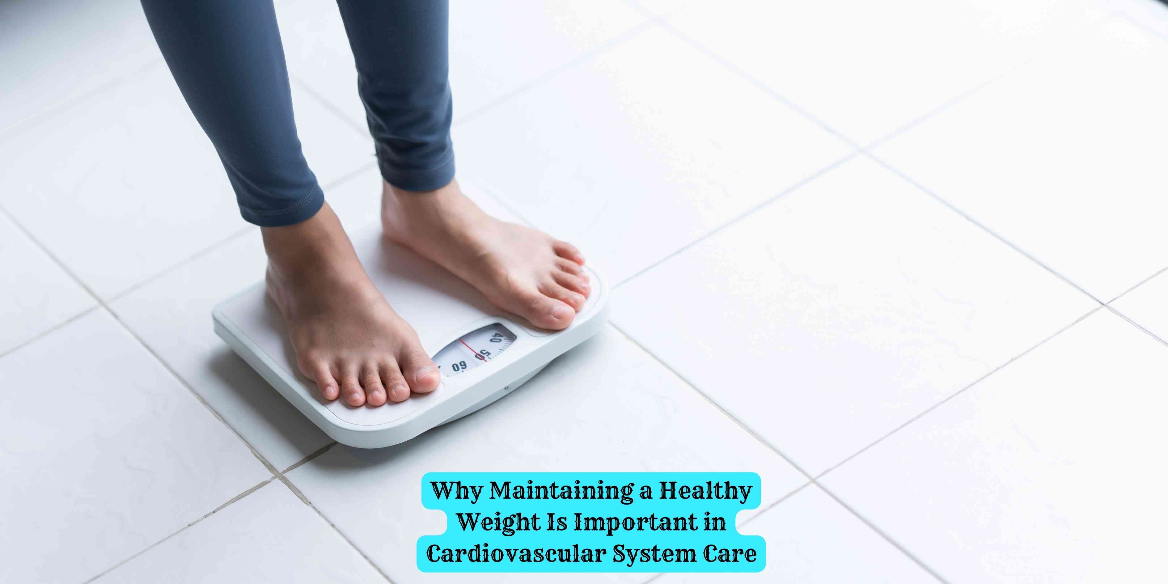 Why Maintaining a Healthy Weight Is Important in Cardiovascular System Care