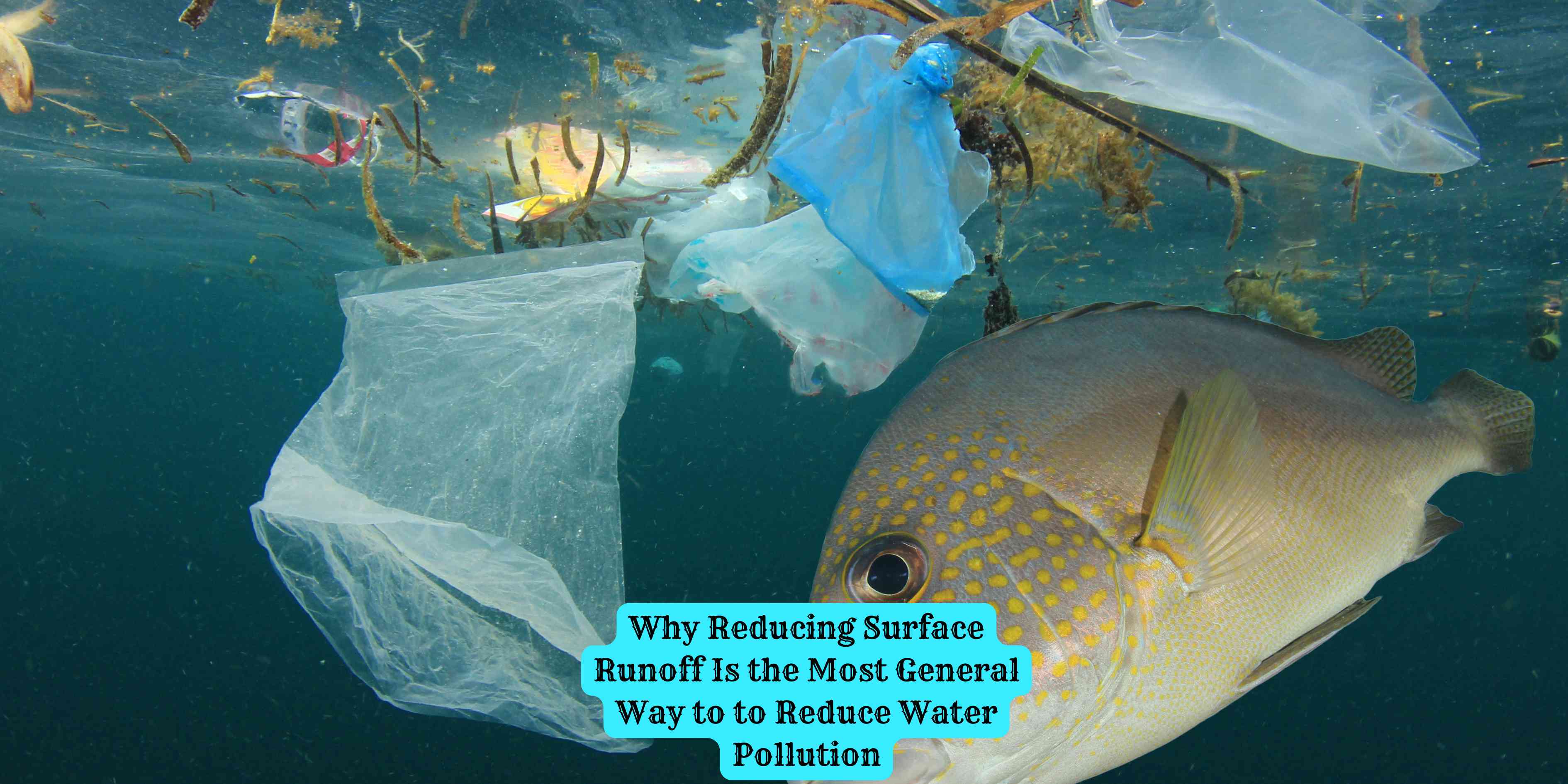 Why Reducing Surface Runoff Is the Most General Way to to Reduce Water Pollution