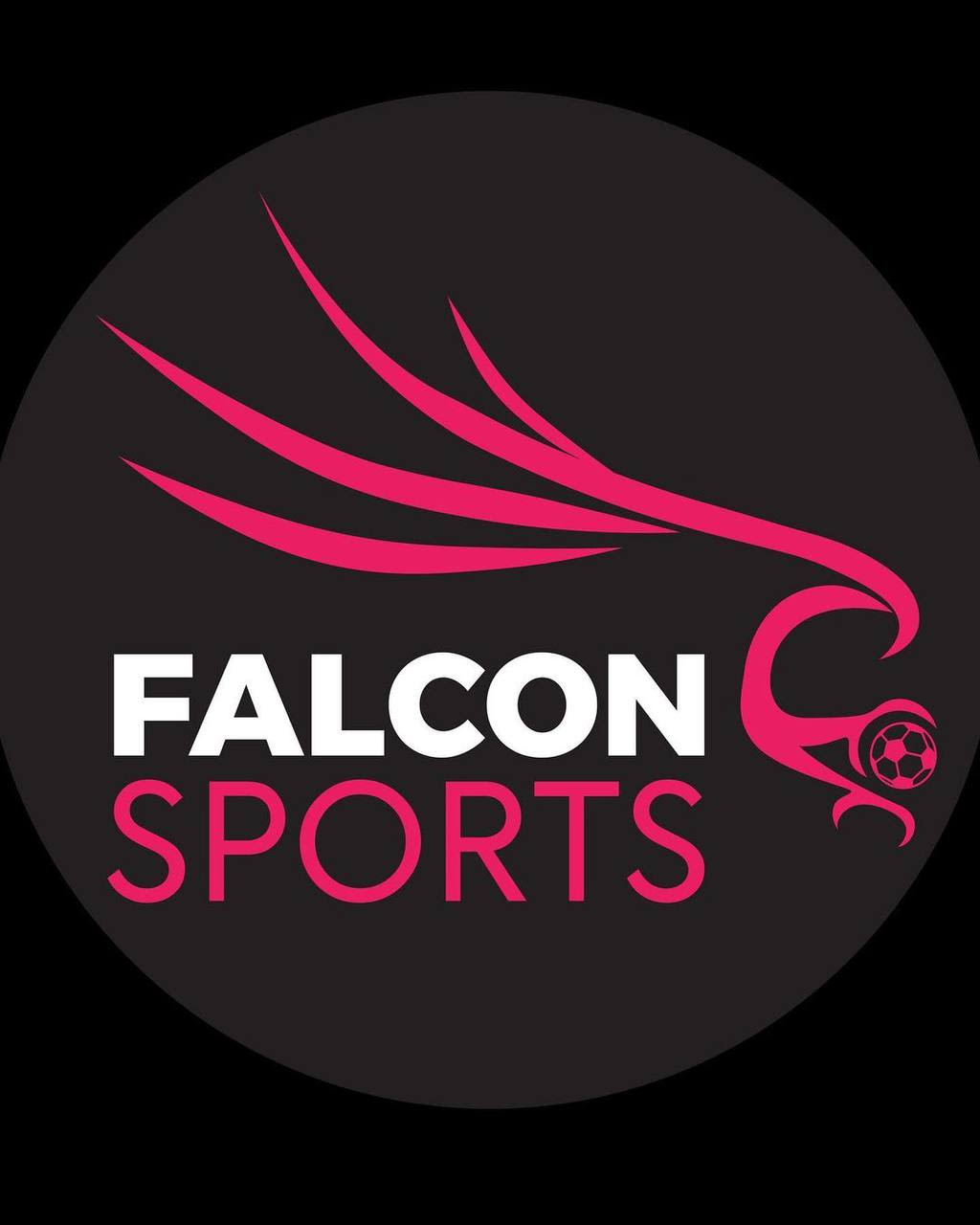 Adu Falco Padel logo