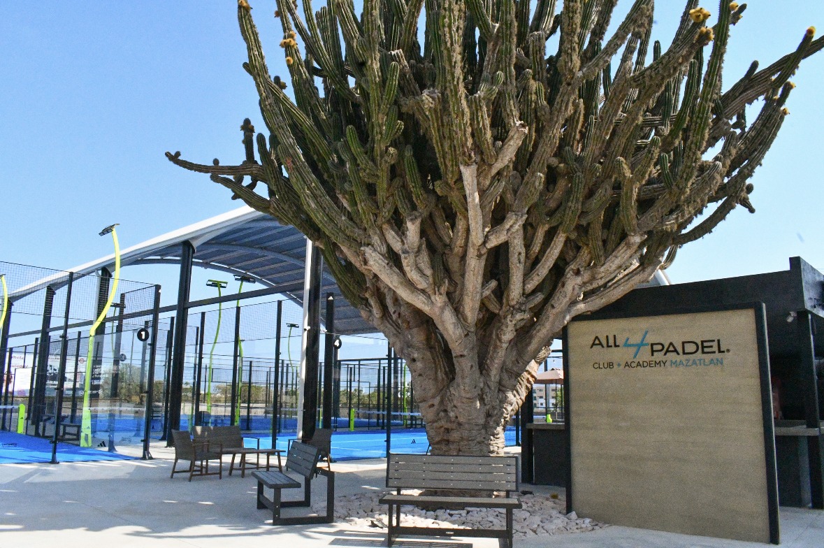 All4Padel Club Mazatlán logo