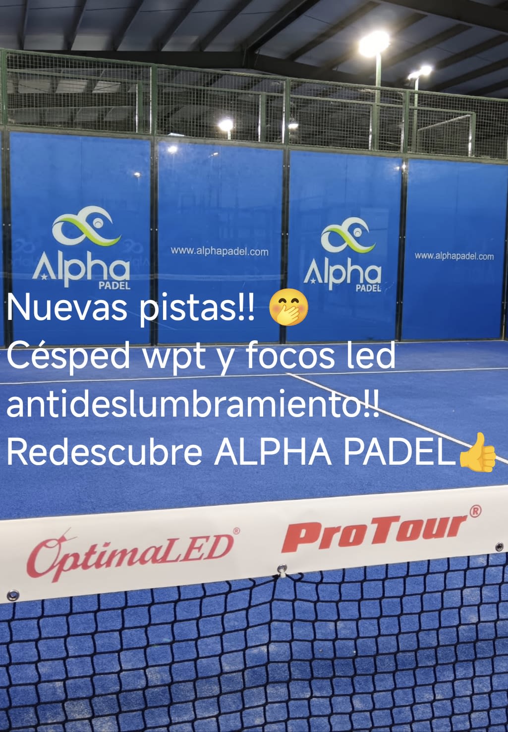 Alpha Padel logo