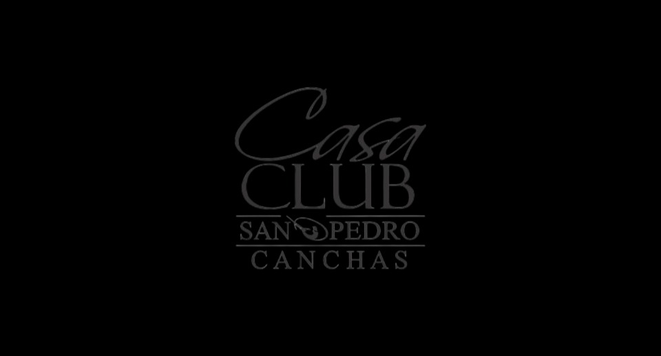 SAN PEDRO 2 logo