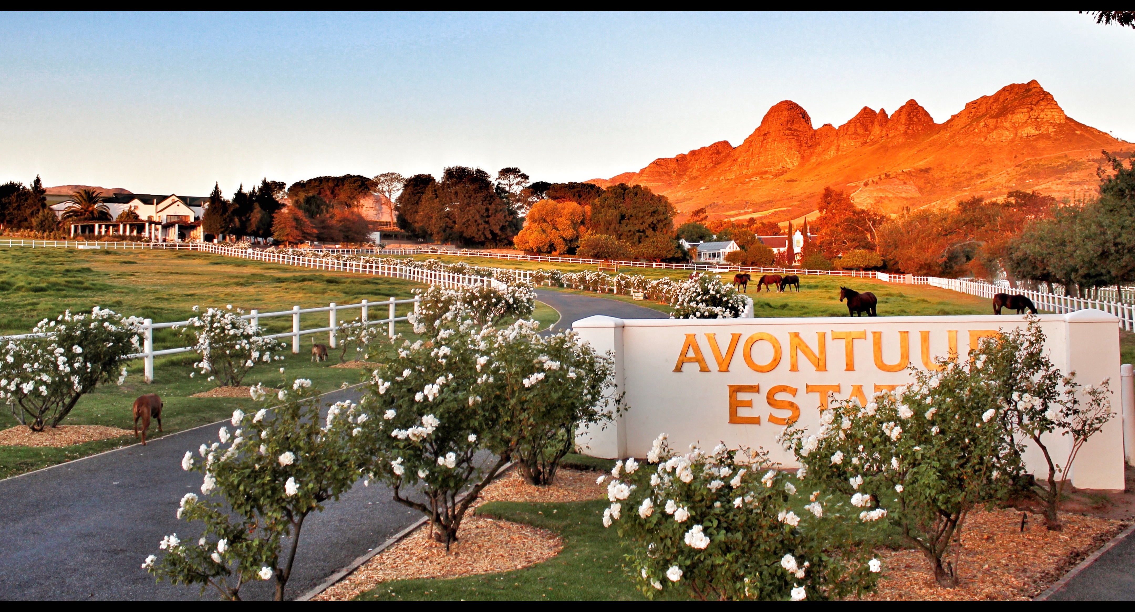 Avontuur Padel logo