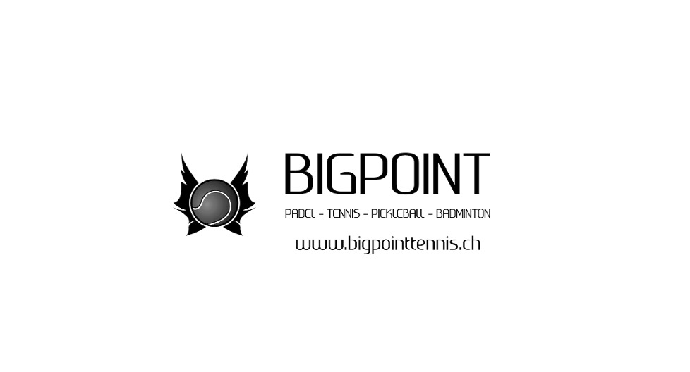 Bigpoint logo