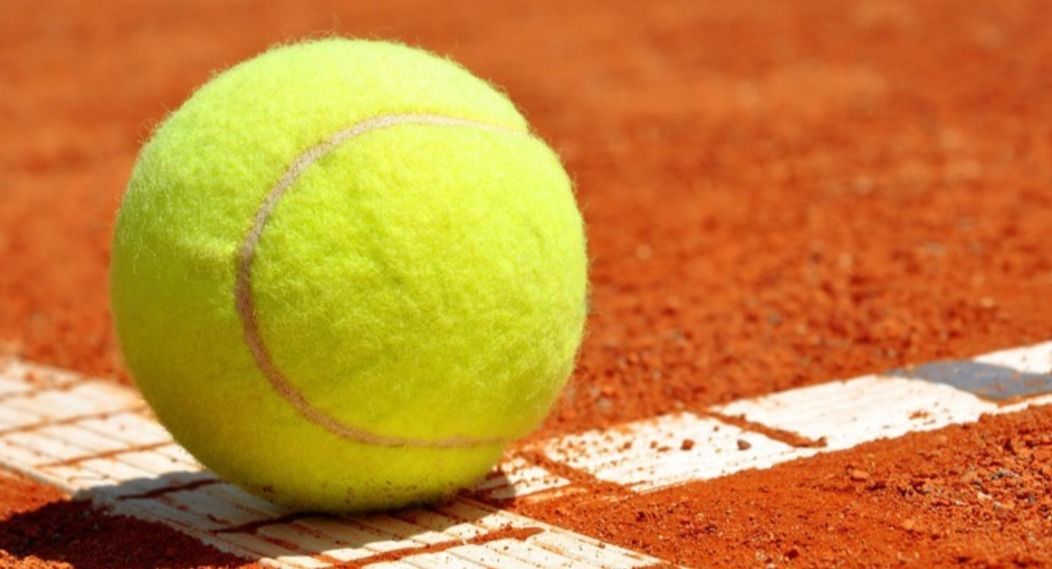 Circolo Tennis Panda logo
