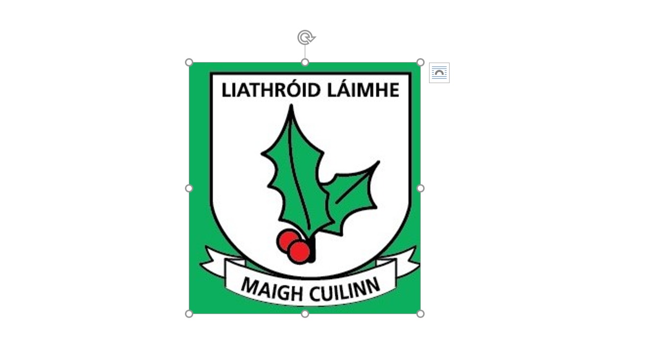 Cumann Liathroid Laimhe Maigh Cuilinn