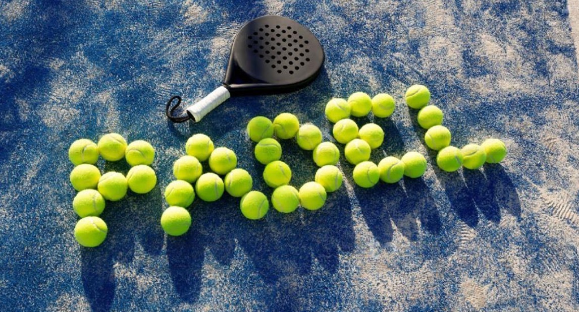 De Zalze Winelands Golf Estate Padel logo