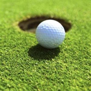 Innesvingen Golf Mölndal logo
