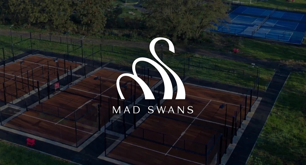 Mad Swans - In The Mendips logo