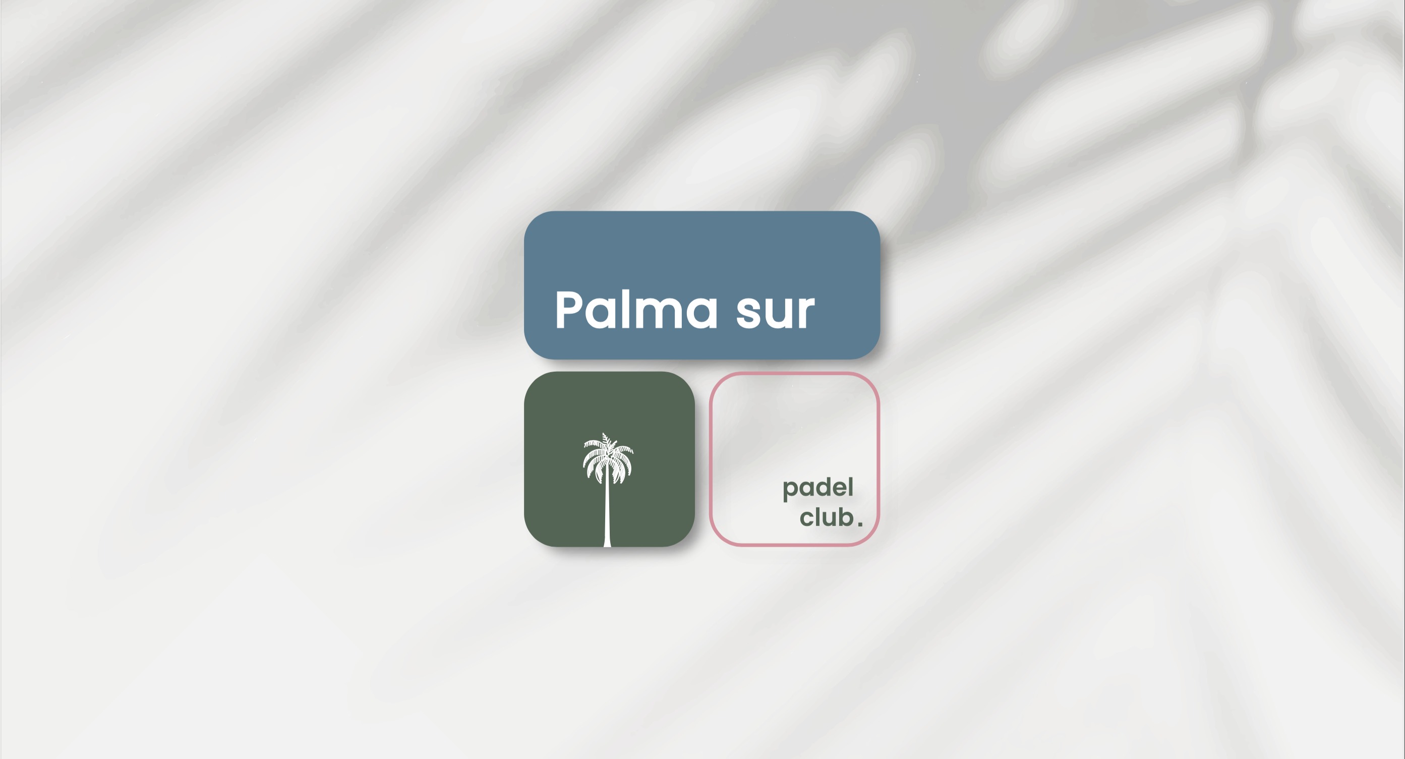 Palma Sur Club de Pádel logo