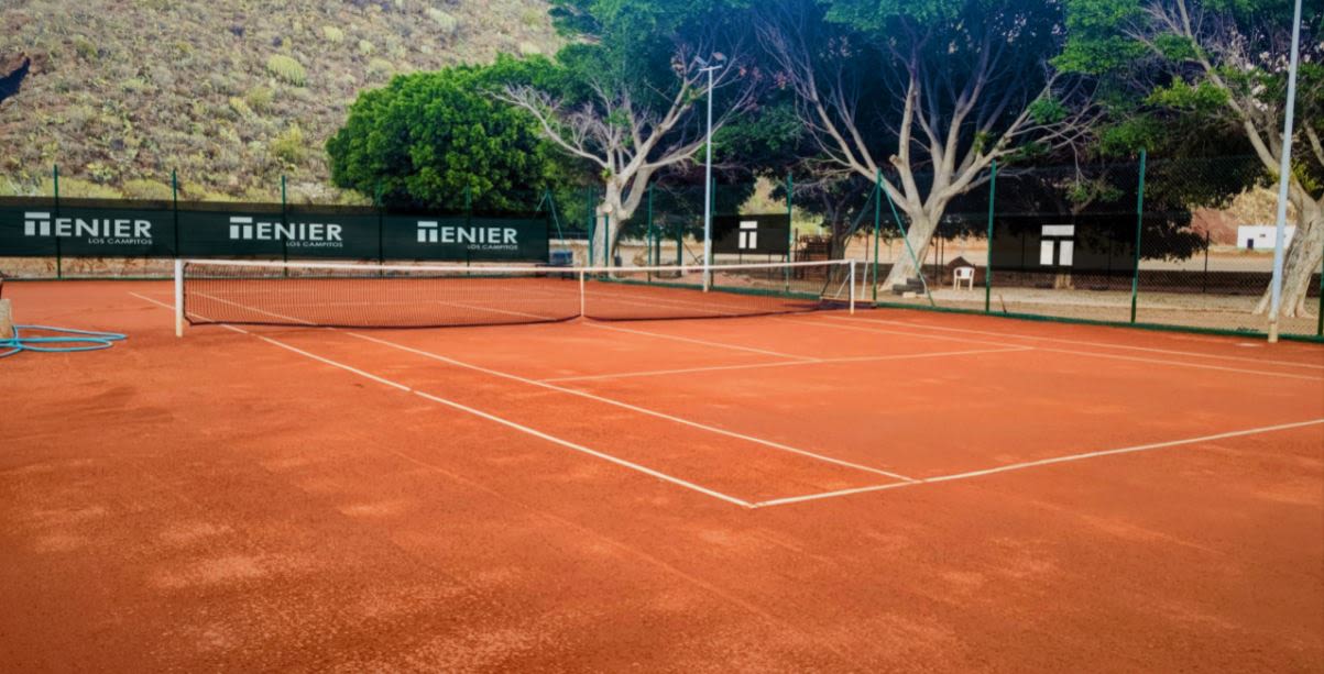 Tenier Tennis Academy logo