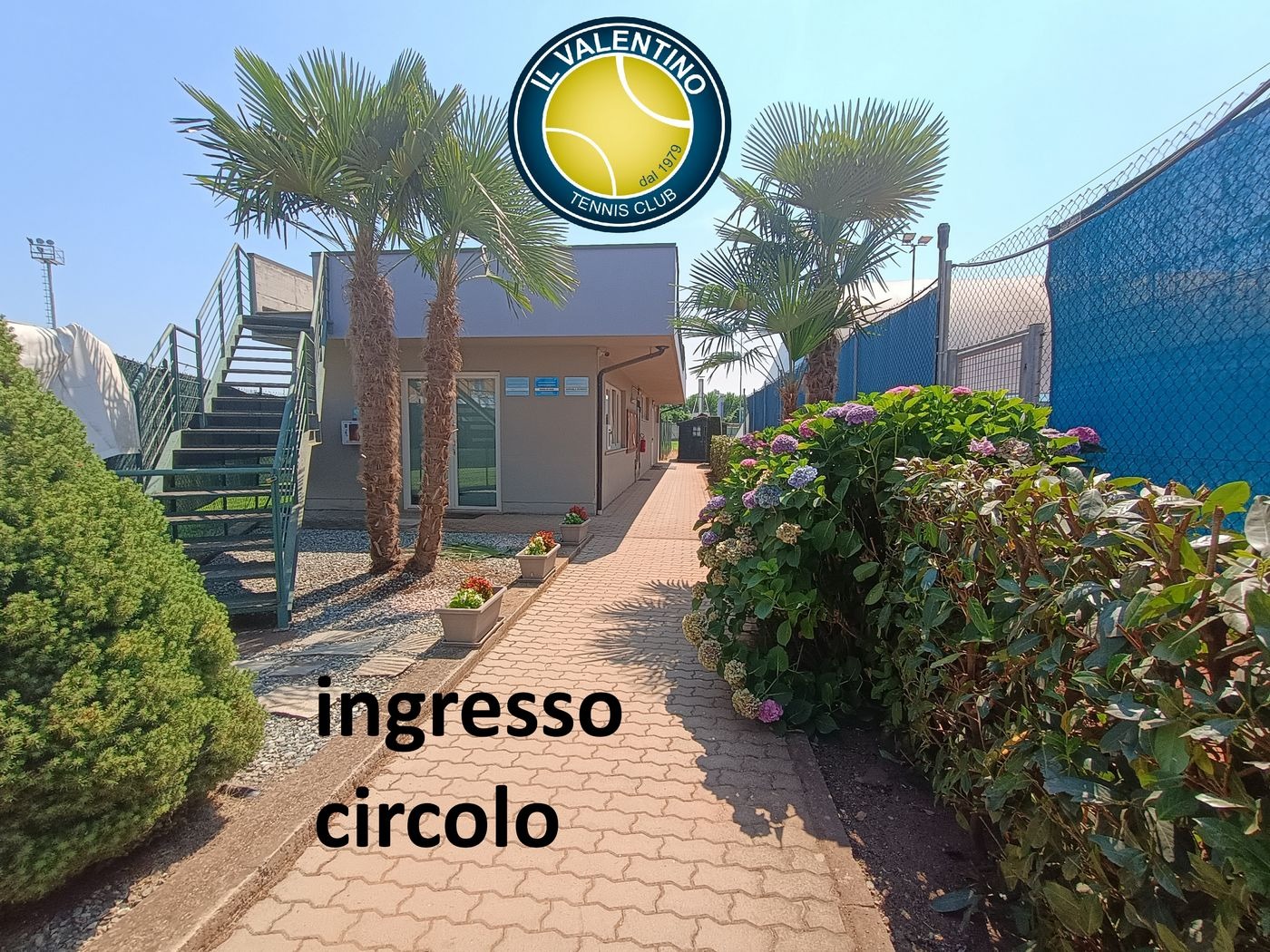 Tennis Club Il Valentino logo